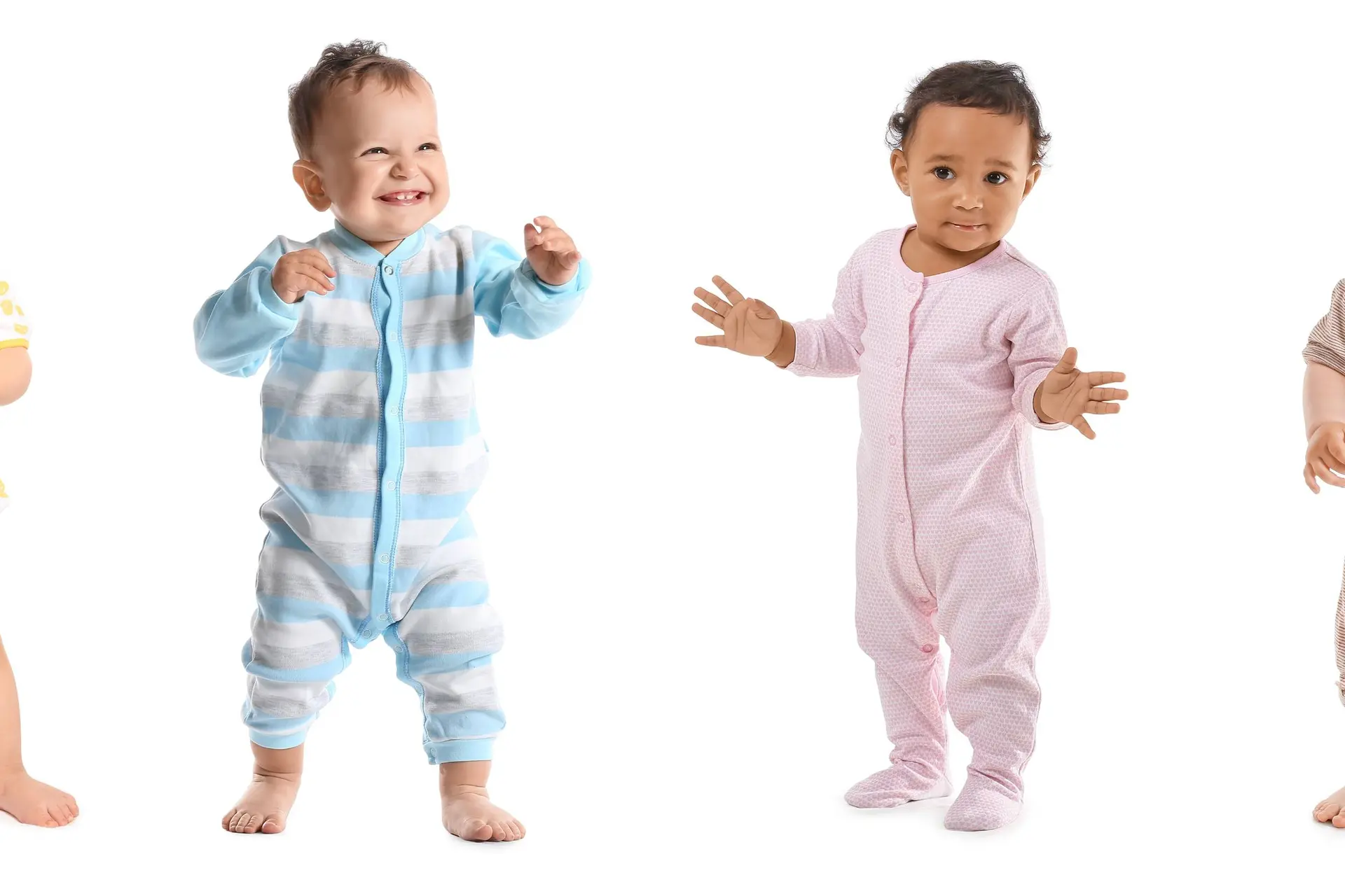 shutterstock_2489687953