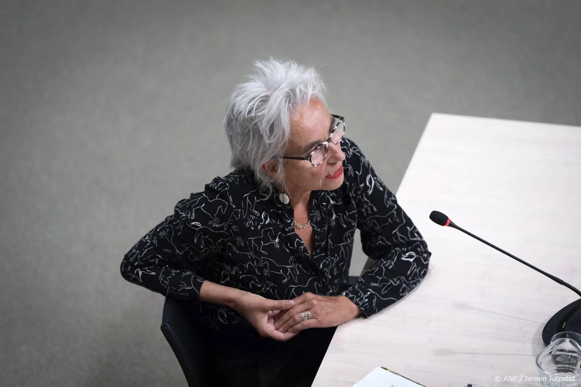 Koopmans: politici wakkerden 'bizarre' bedreigingen aan