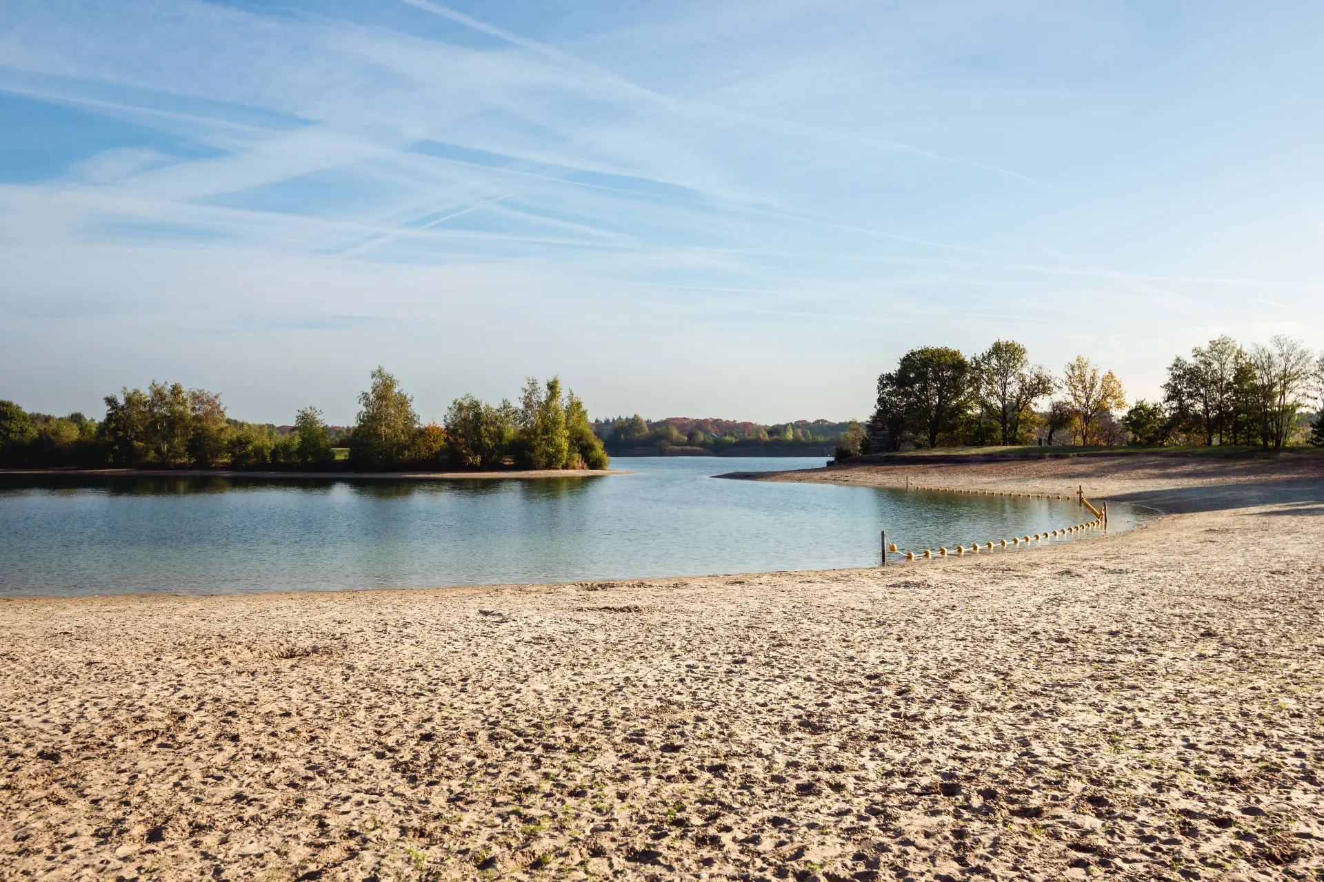 shutterstock_1214831980