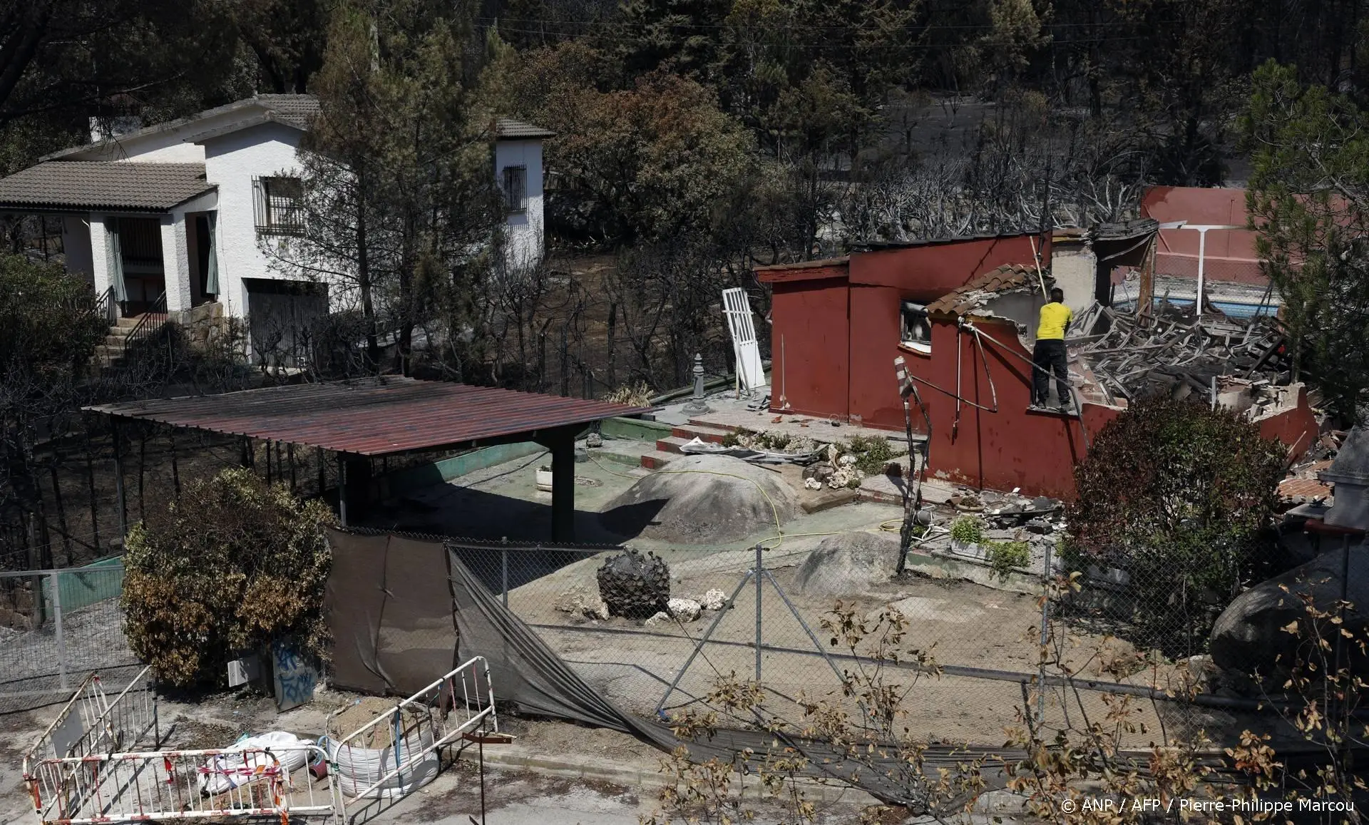 anp290726125 1
