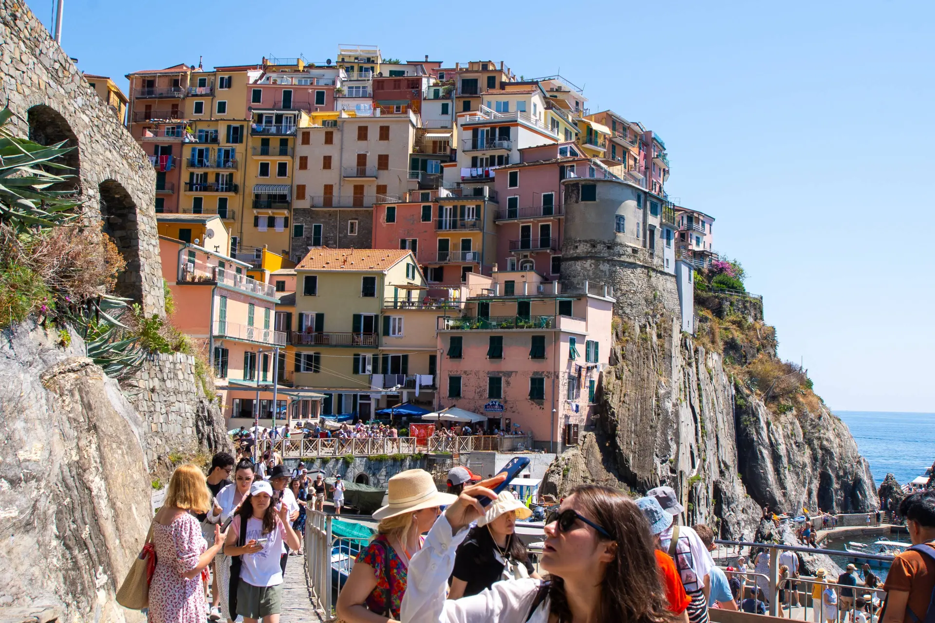 shutterstock_2662175929