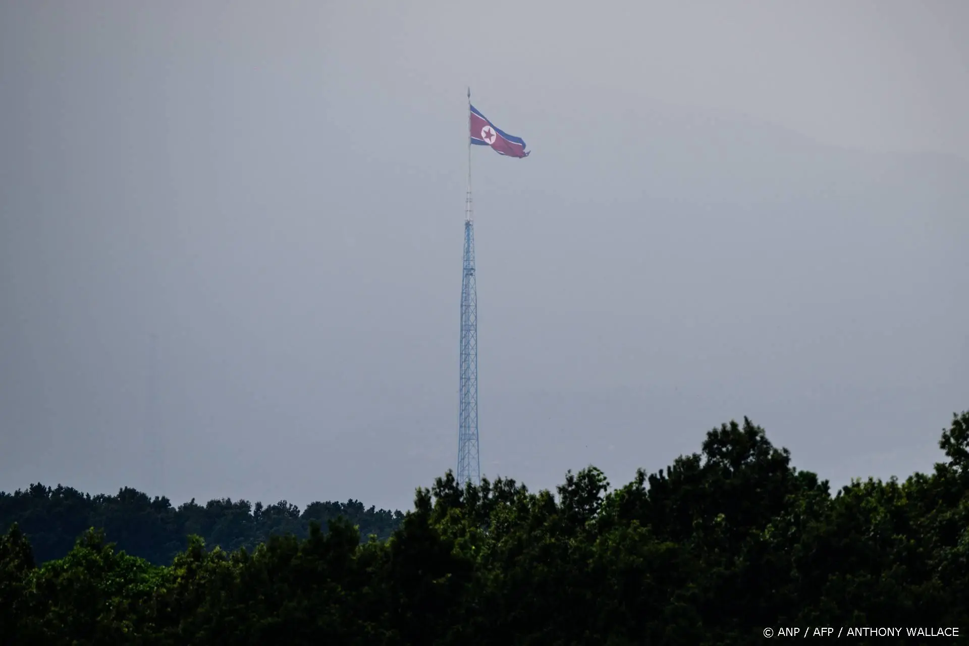 anp060826105 1
