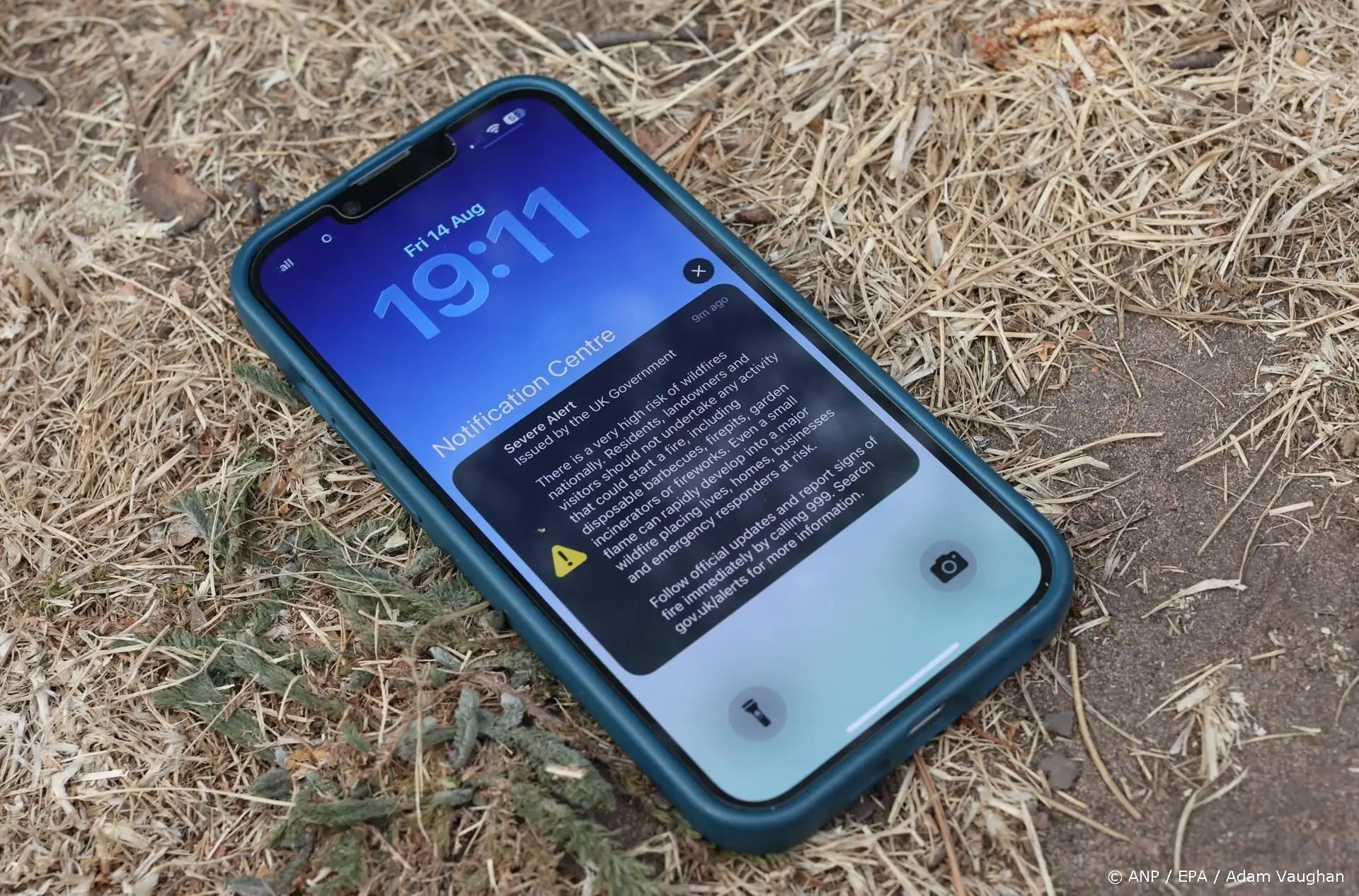 anp140826233 1