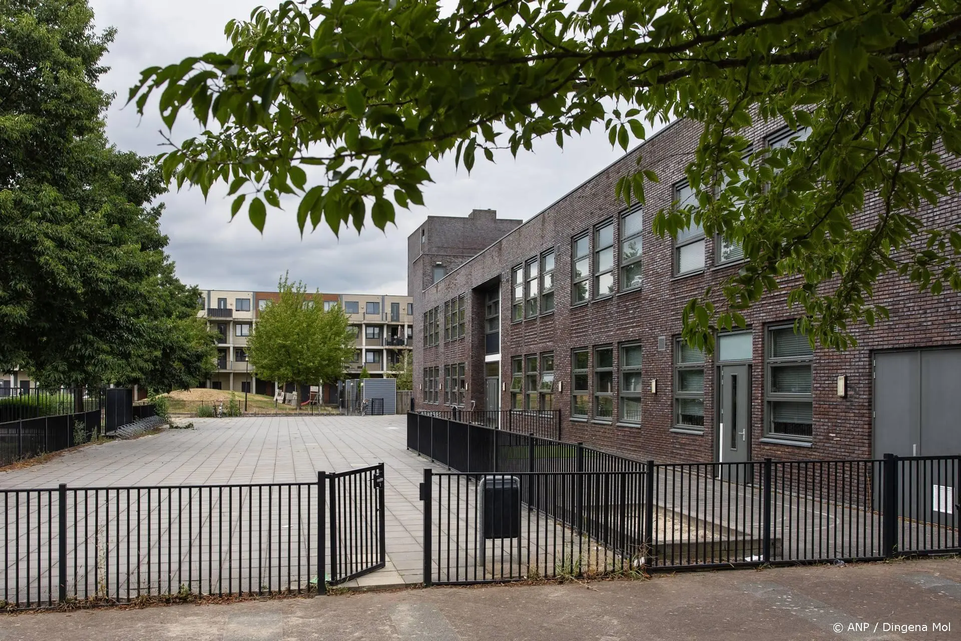 anp180826154 1