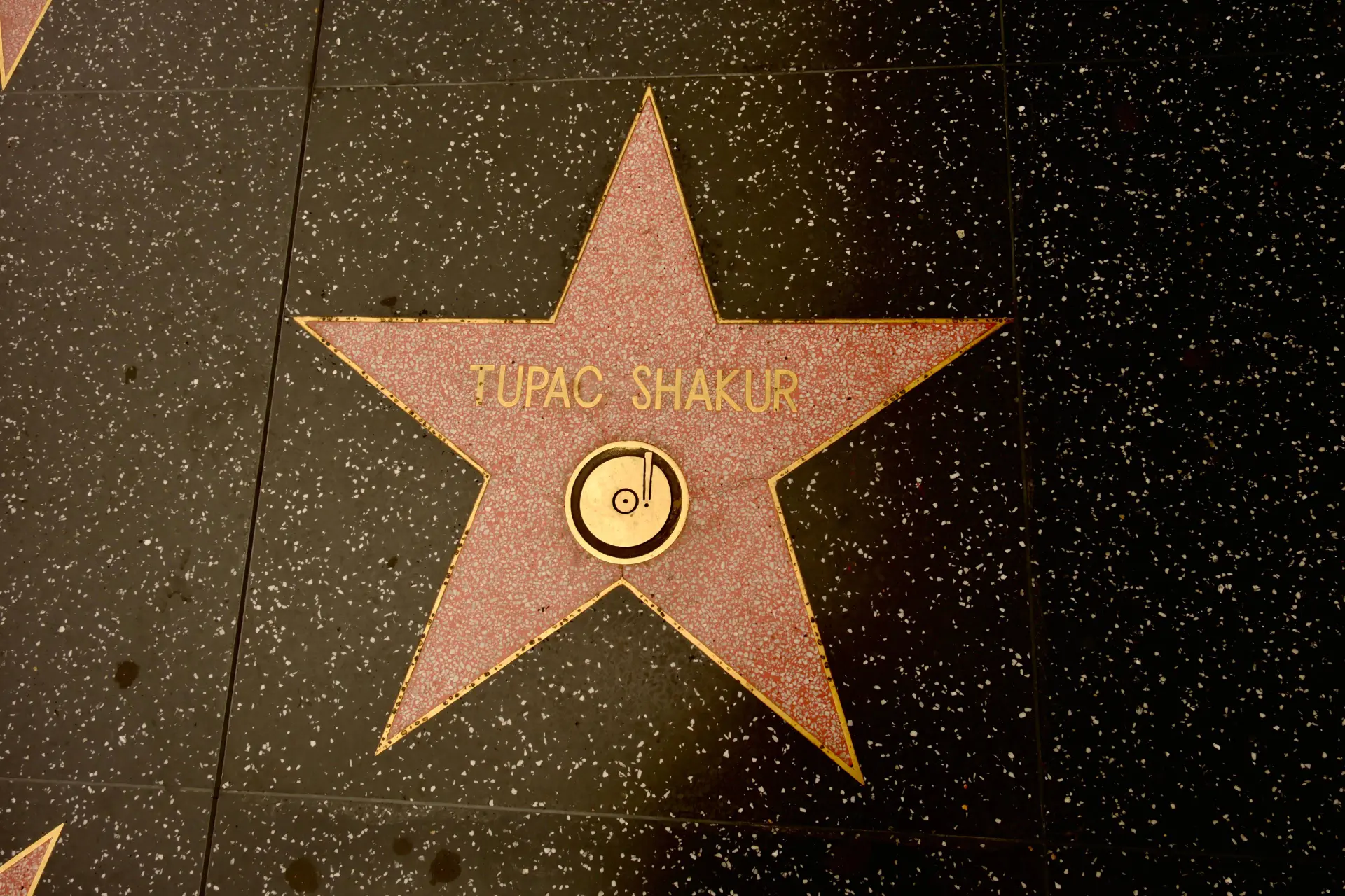 shutterstock_2639485749
