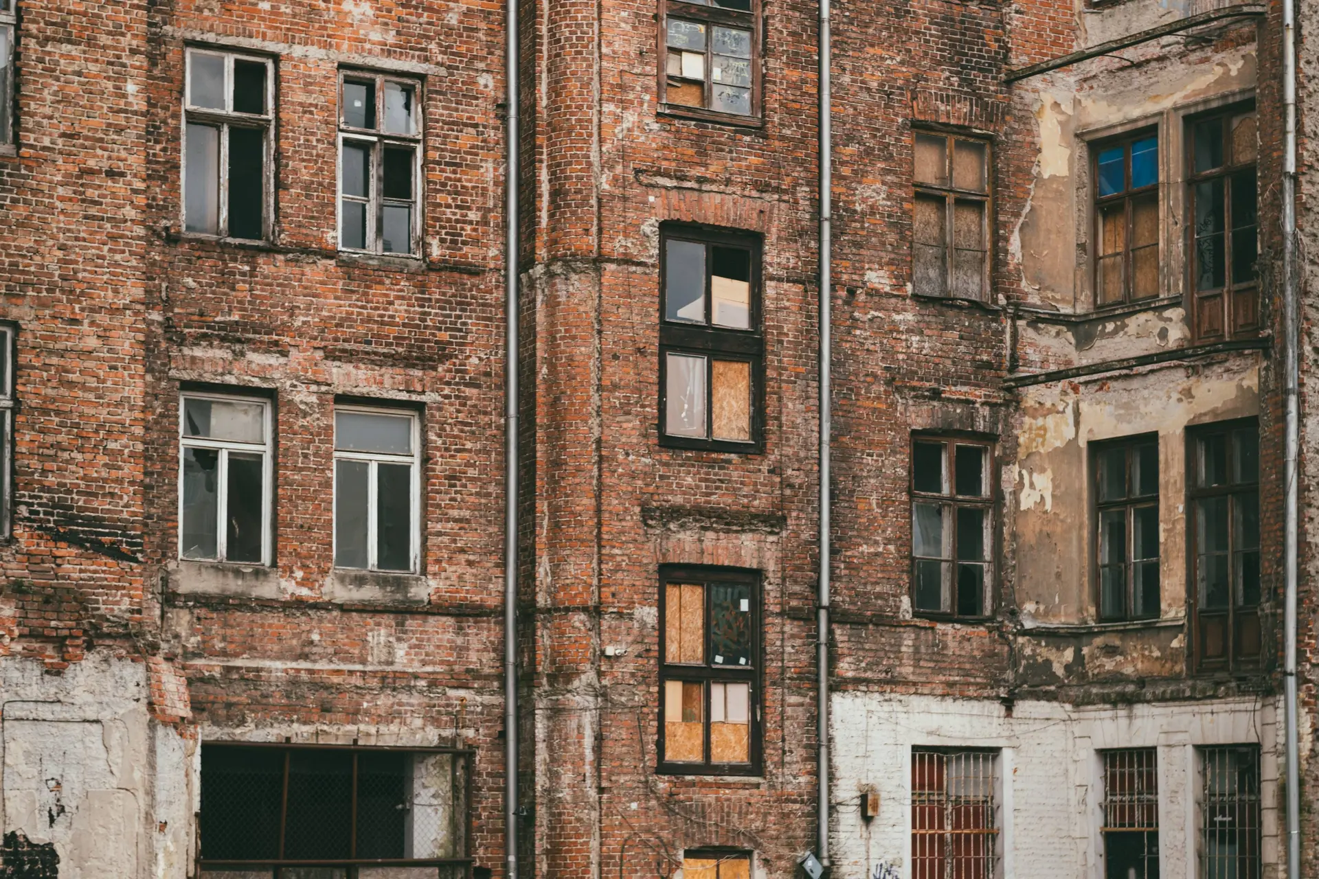 shutterstock_2766337193
