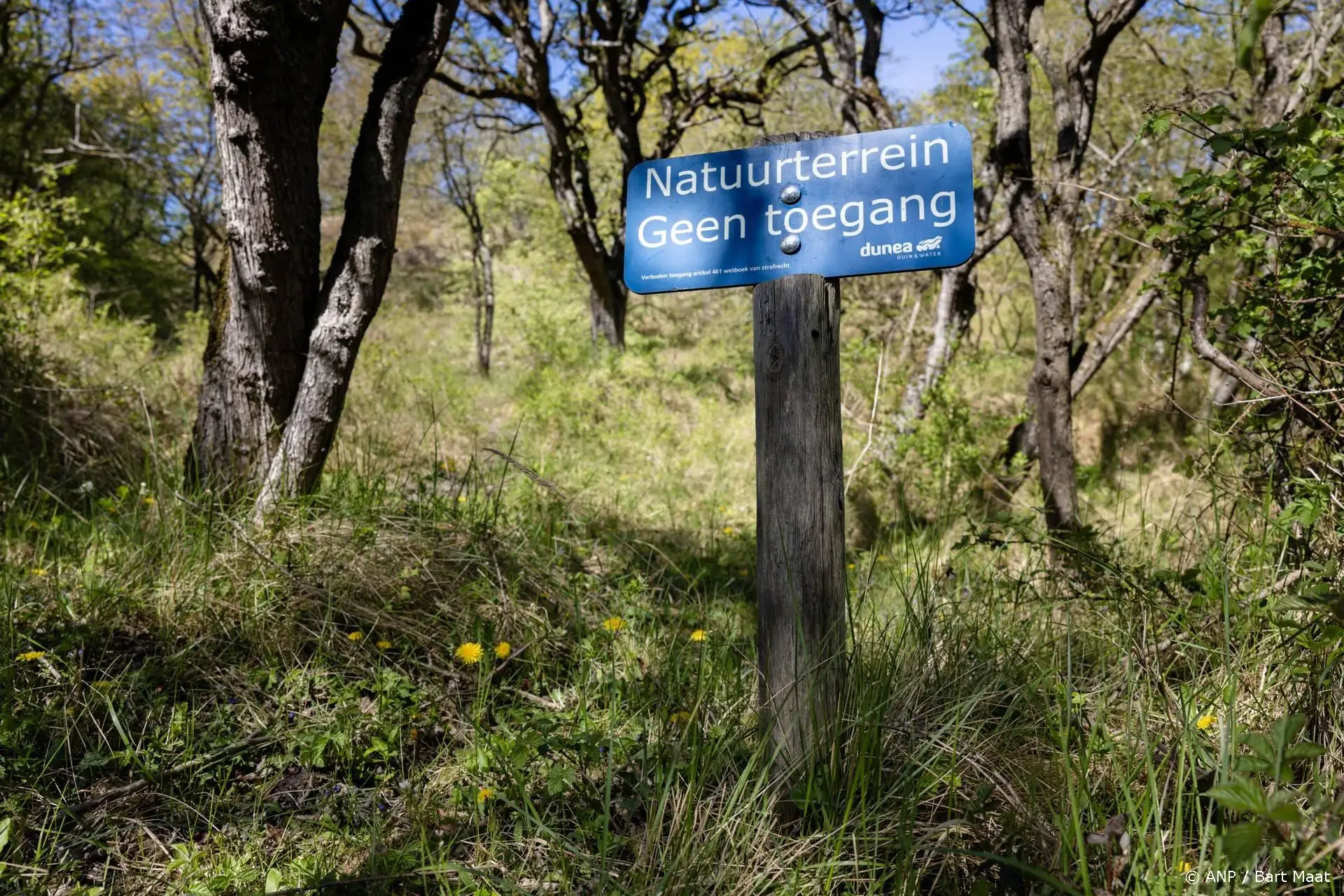 anp270926055 1