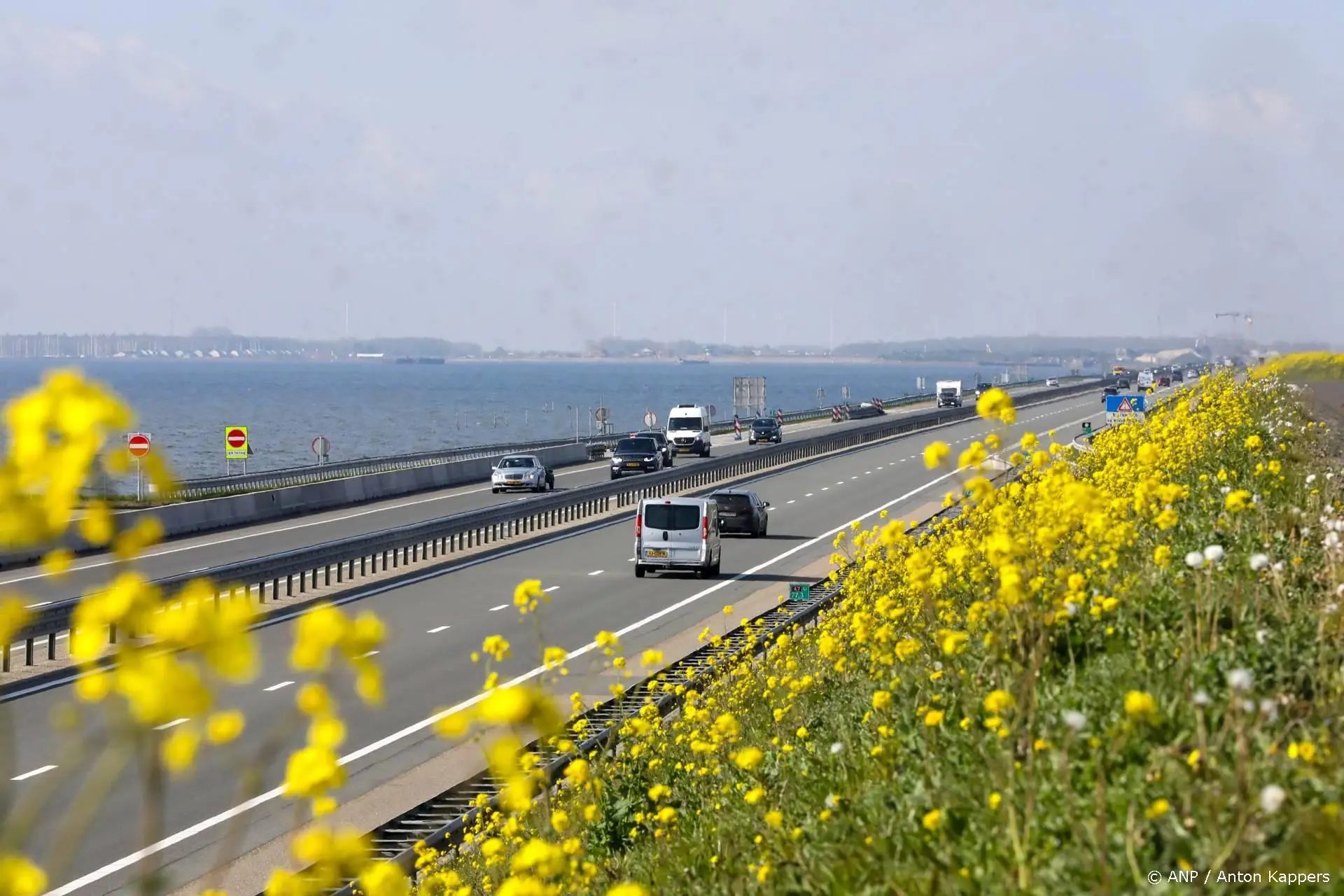 anp051026118 1