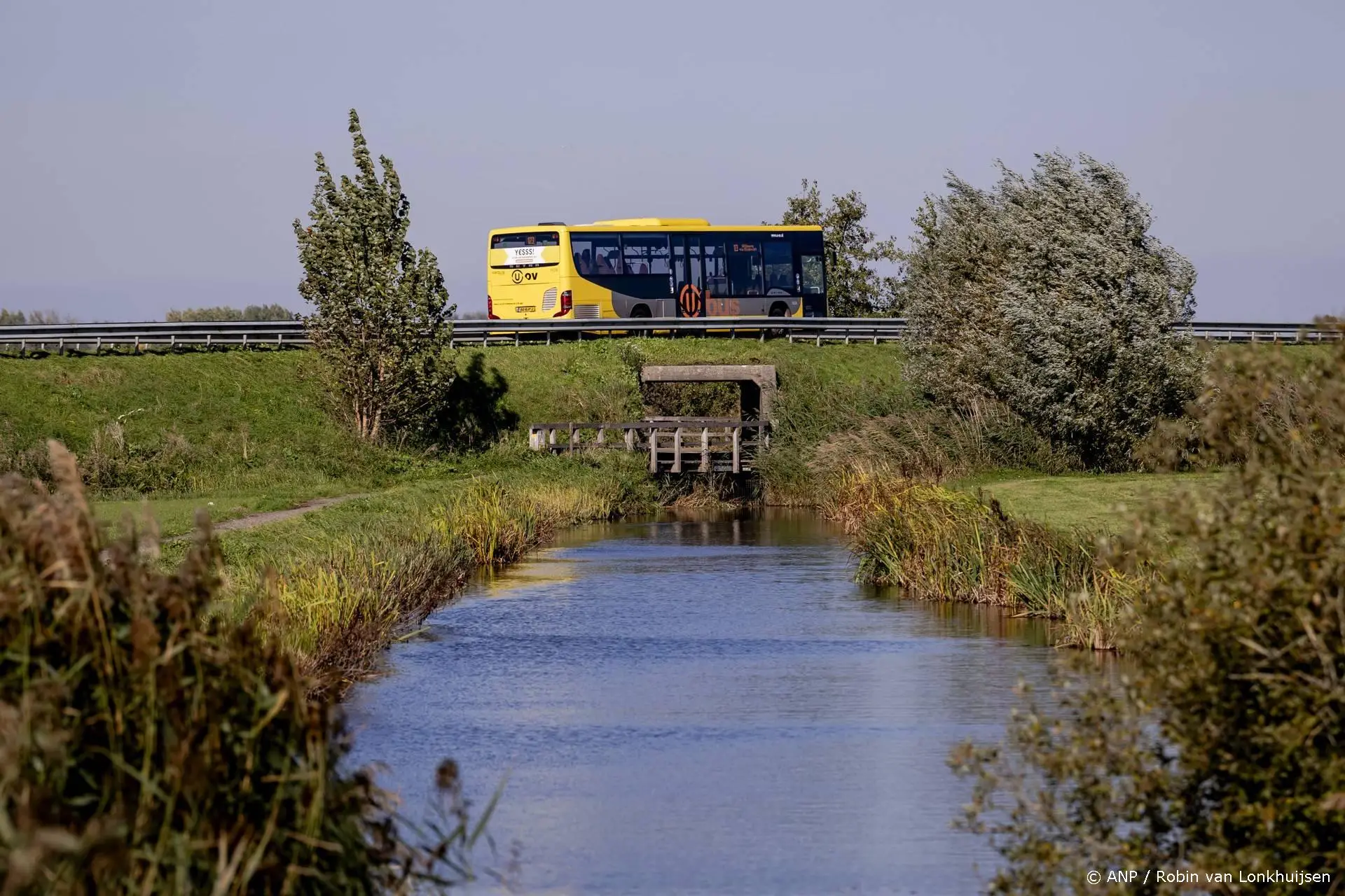 anp291026209 1