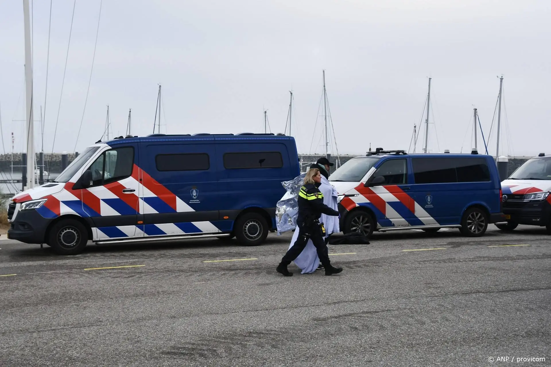 anp311026060 1