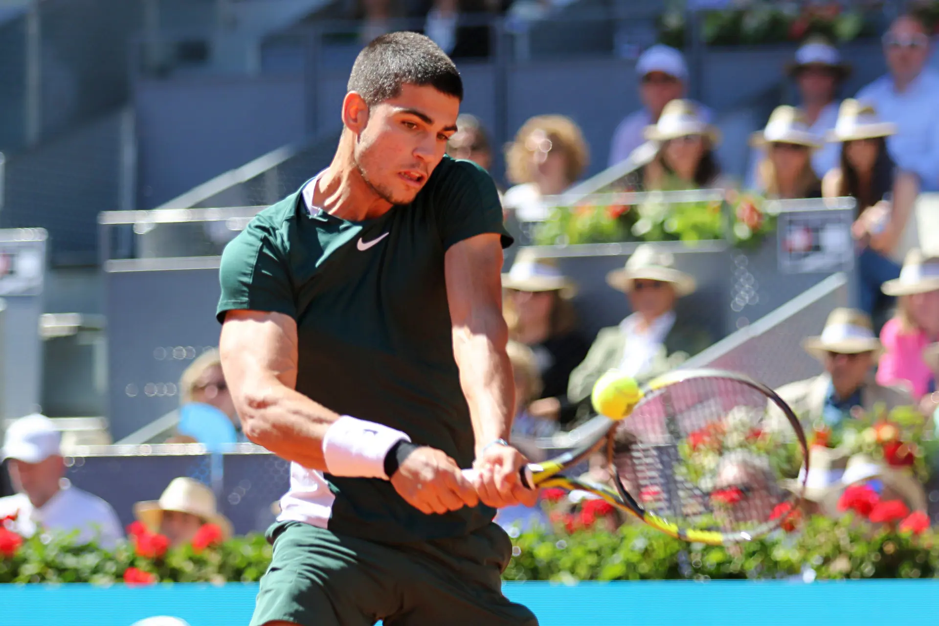 WATCH: Carlos Alcaraz produces shot of the year