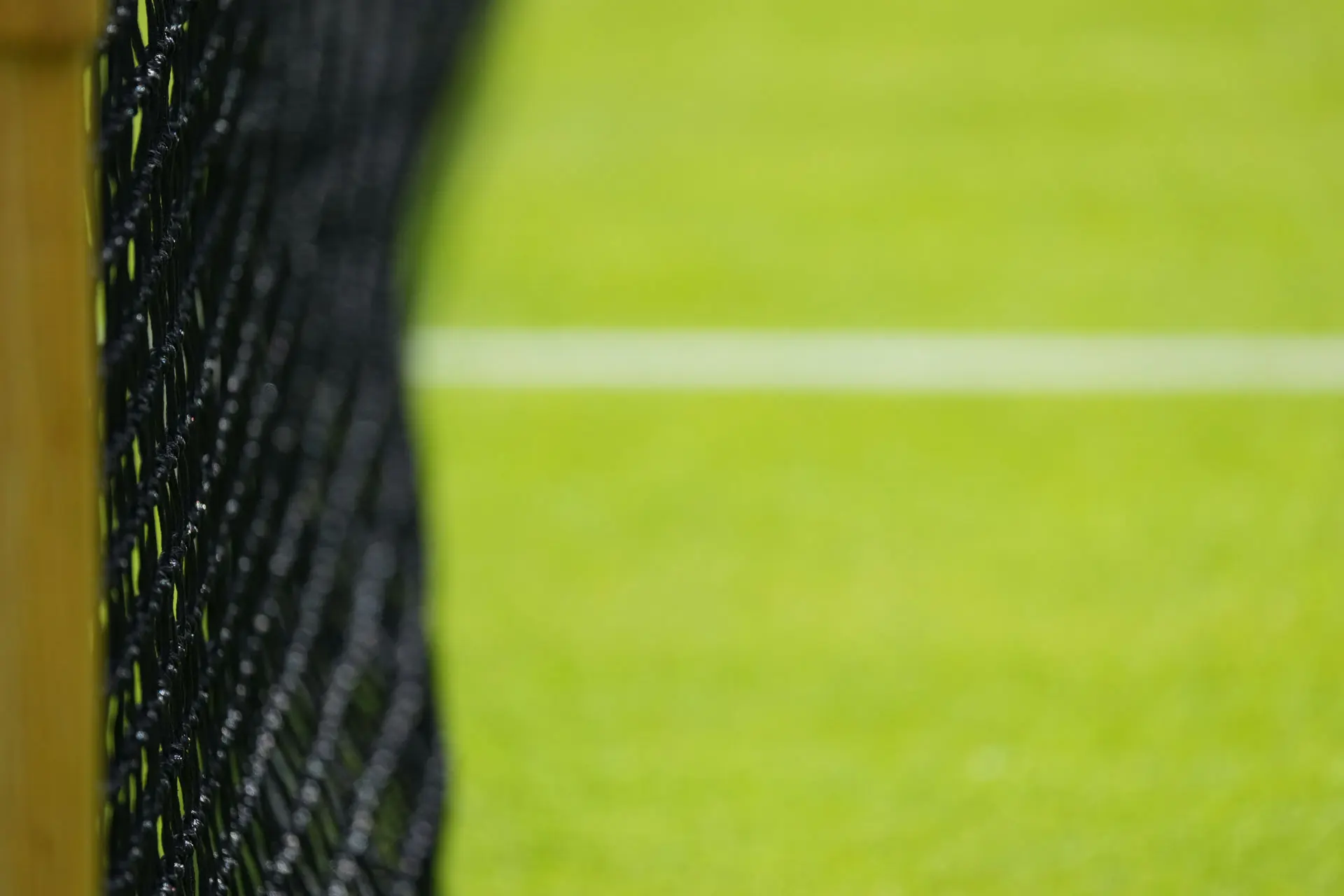Net Wimbledon2022 MartinSidorjak