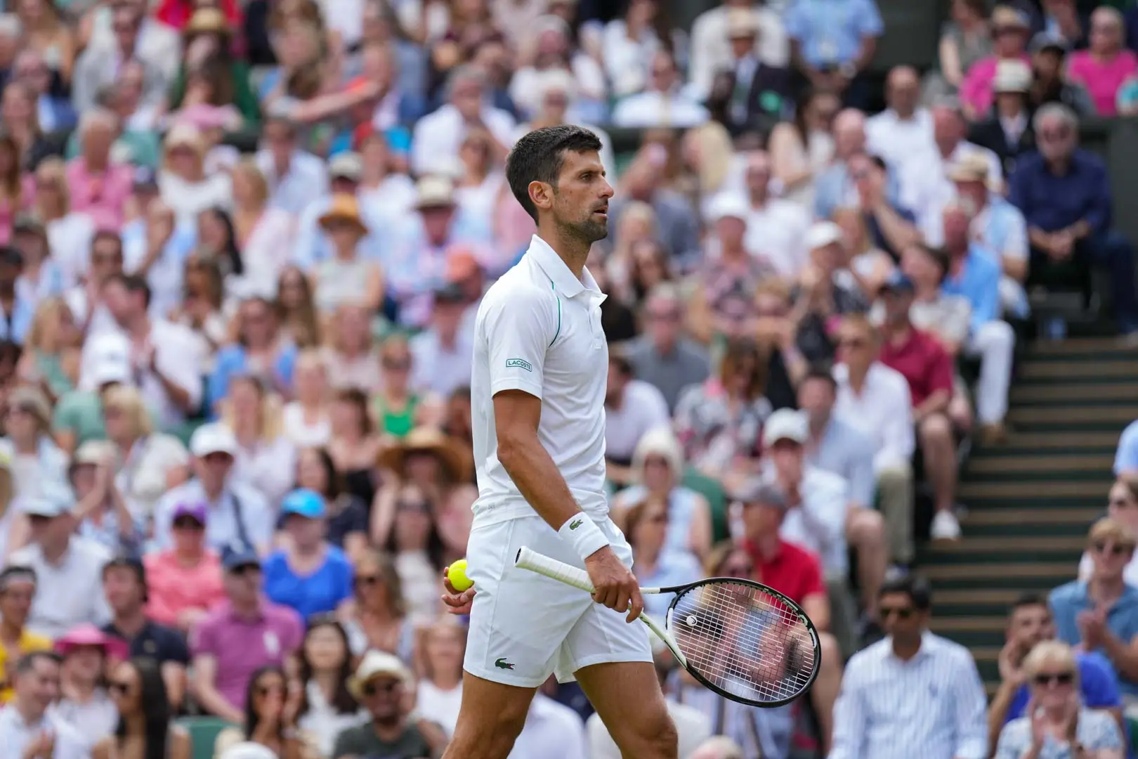 WATCH: Djokovic provokes crowd with ear gesture and gets booed after amazing shot