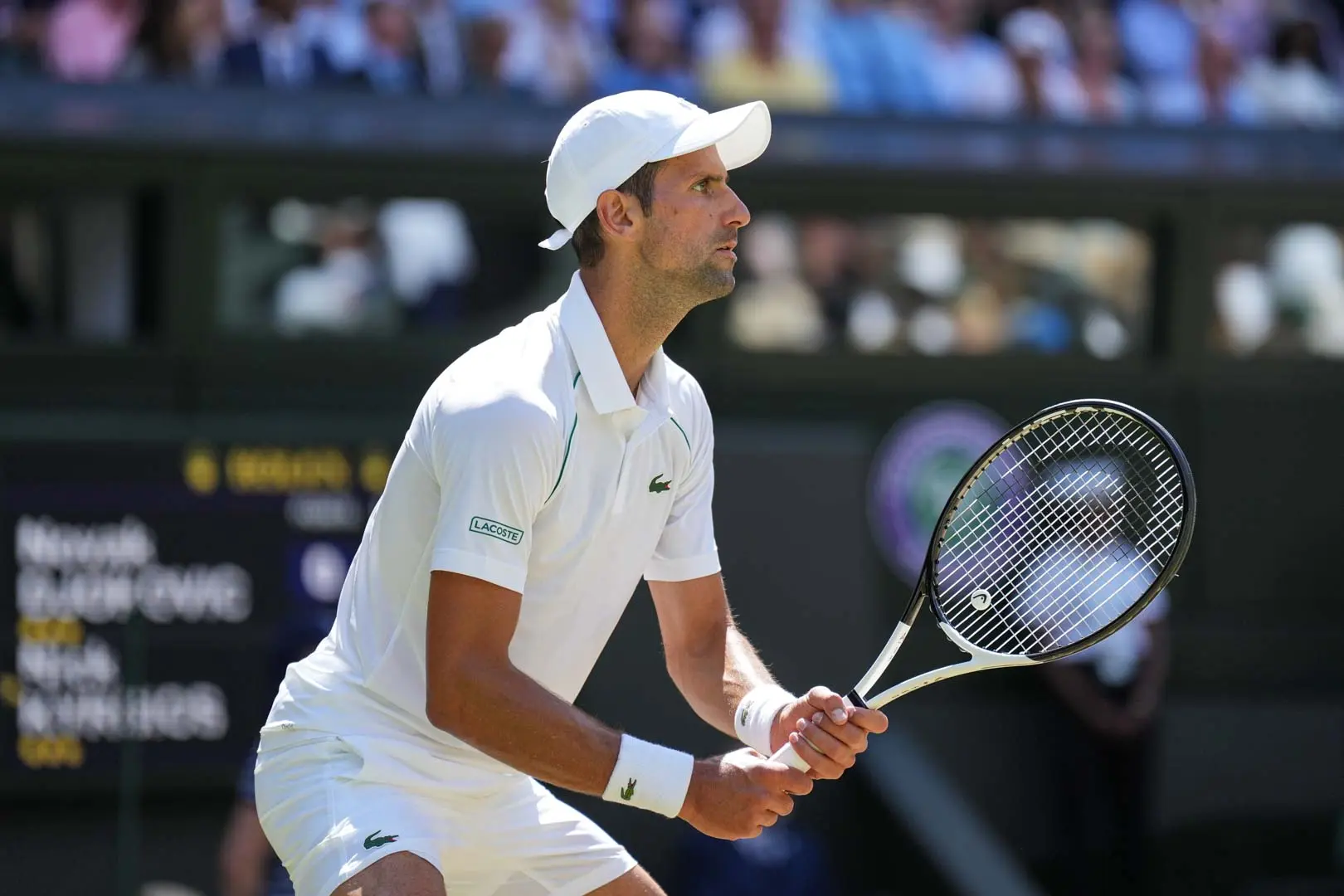 Top Two Seeds Djokovic And Sinner To Practice Together Ahead Of Wimbledon