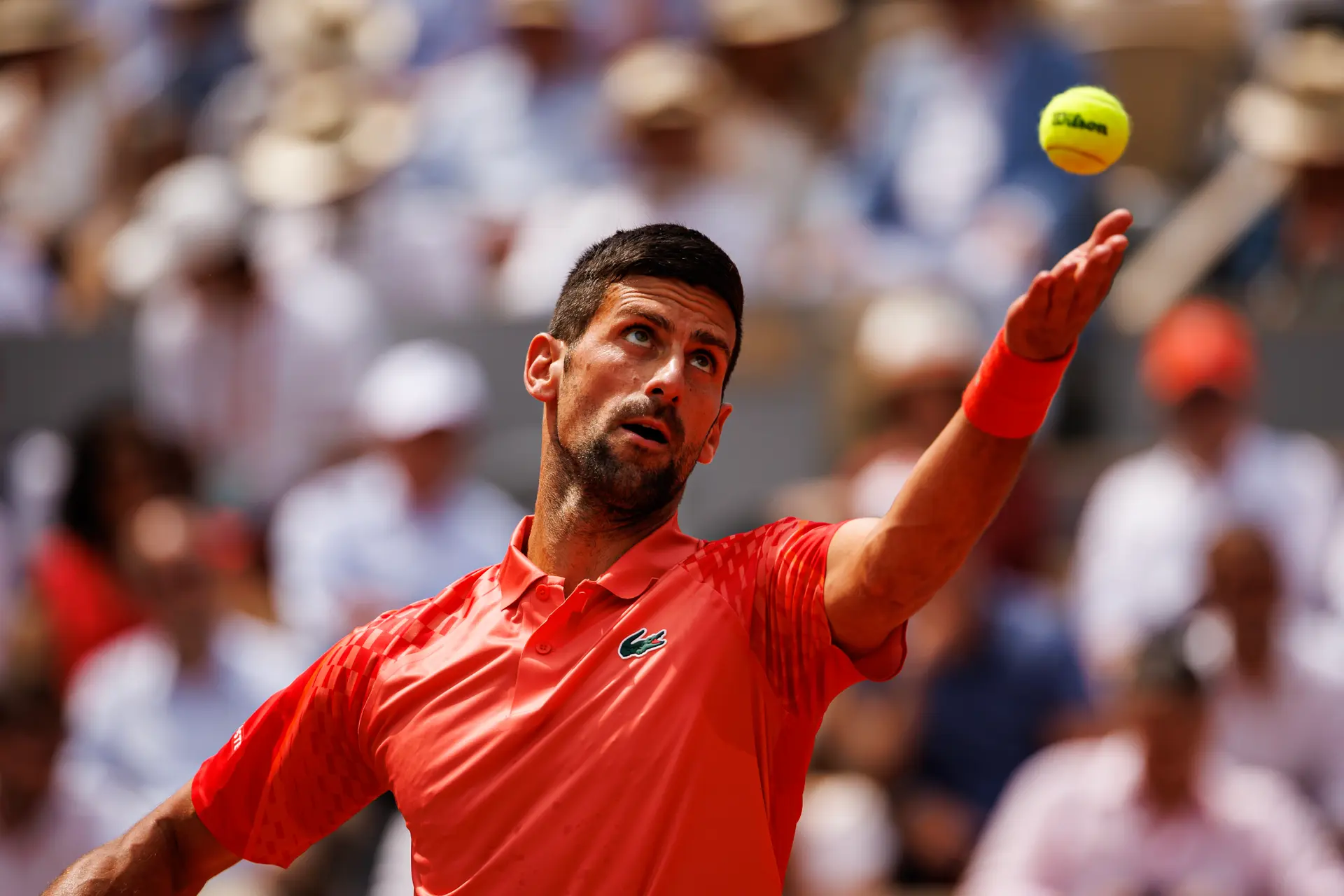 Djokovic Teases Major Announcement That Will Be Shared 'In Near Future'