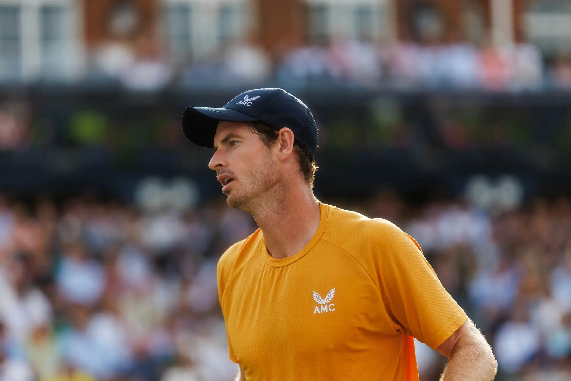 Murray Says He May Have Played Australian Open 'Last Time' After Another Loss