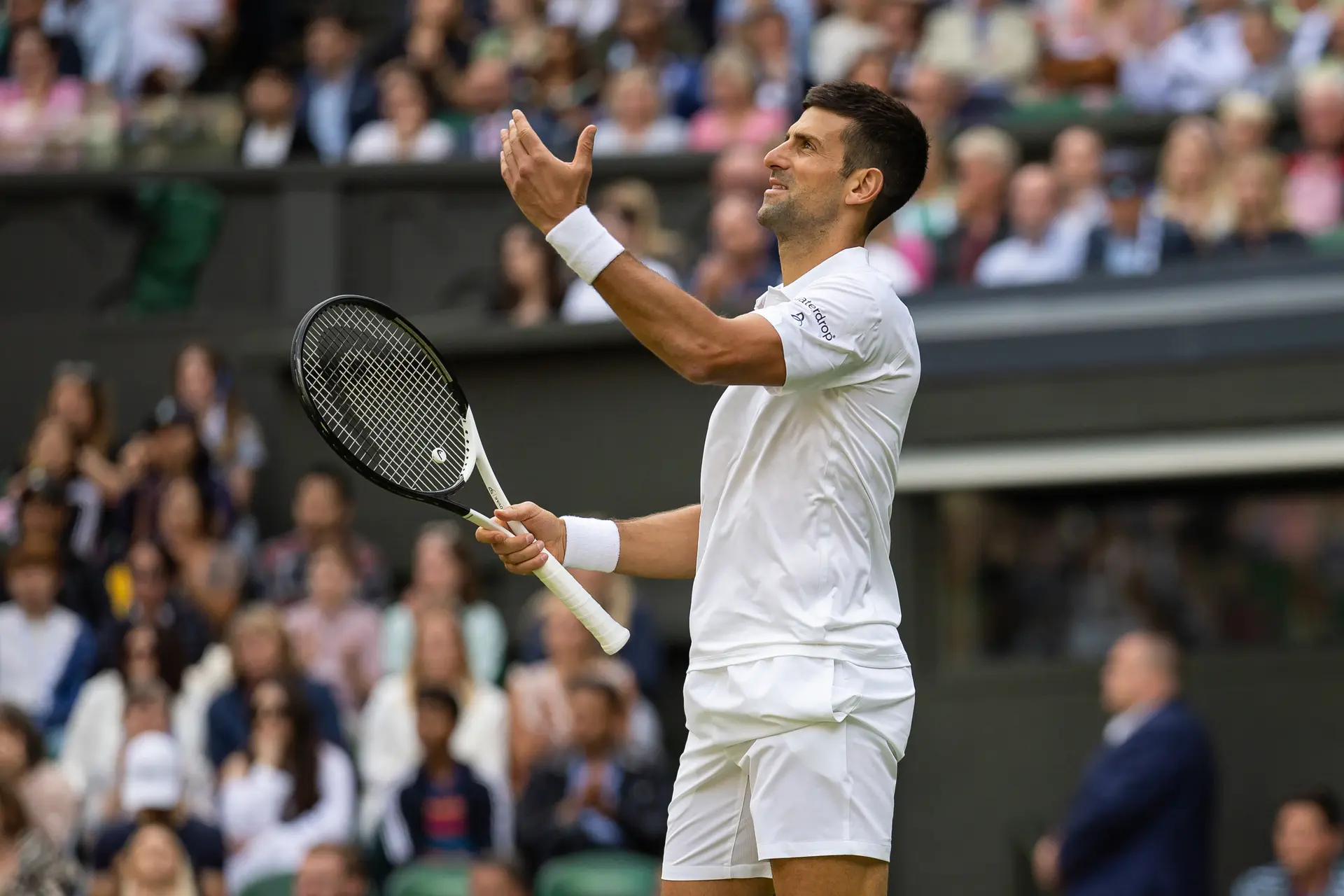 Djokovic Addresses Problematic Fan Behavior: 'Not Much Wimbledon Could Do'