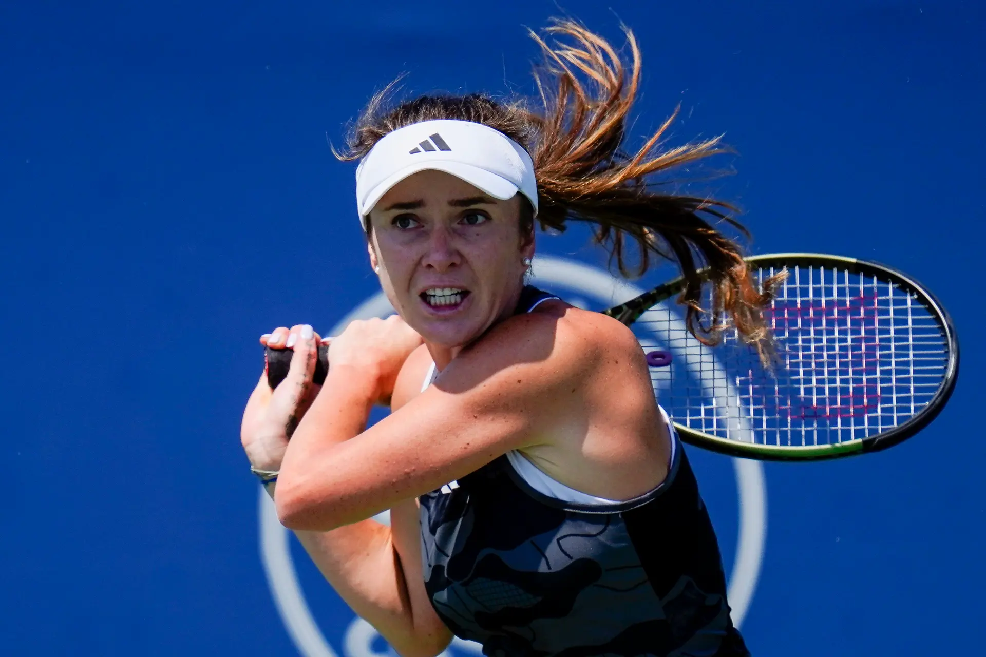 2024 Austria Open Linz WTA Prize Money & Points Overview