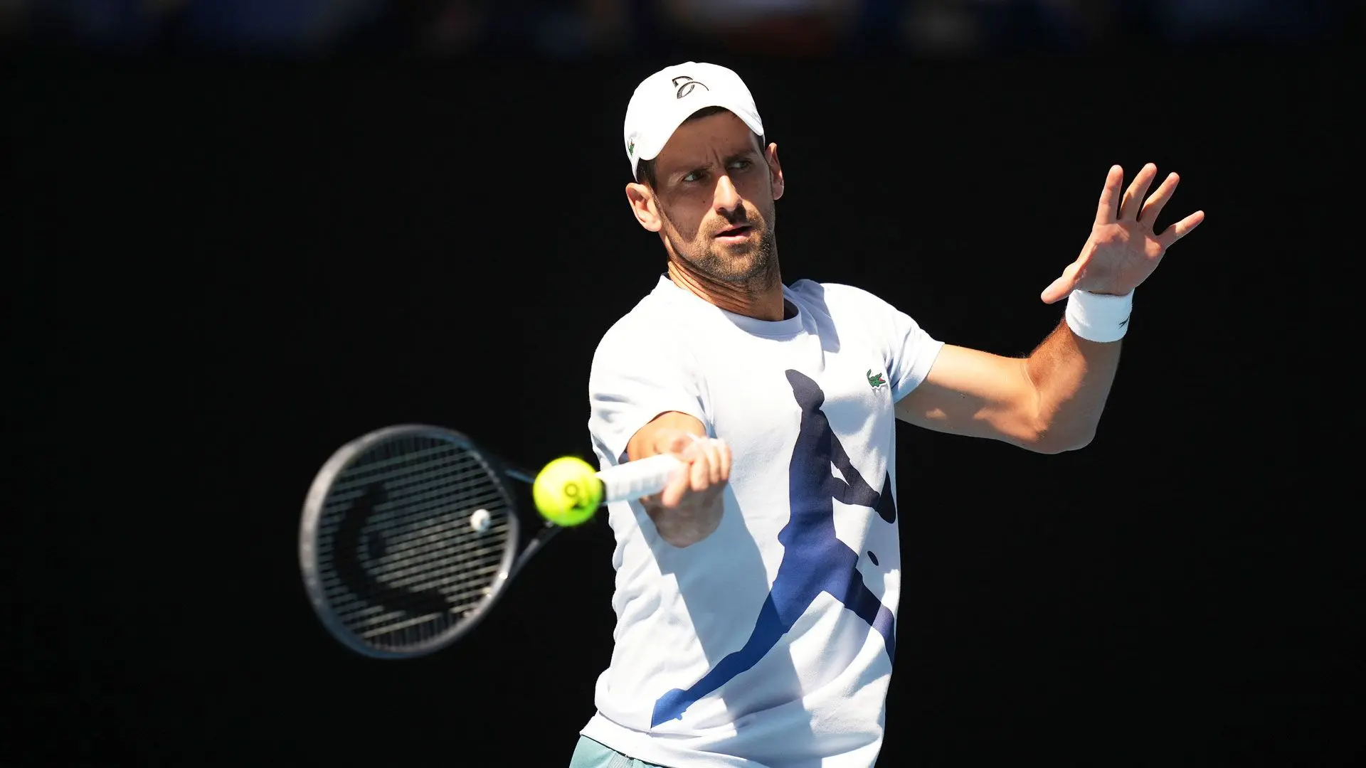 WATCH: Djokovic Makes Time To Meet One-Time Hitting Partner & YouTuber At Australian Open
