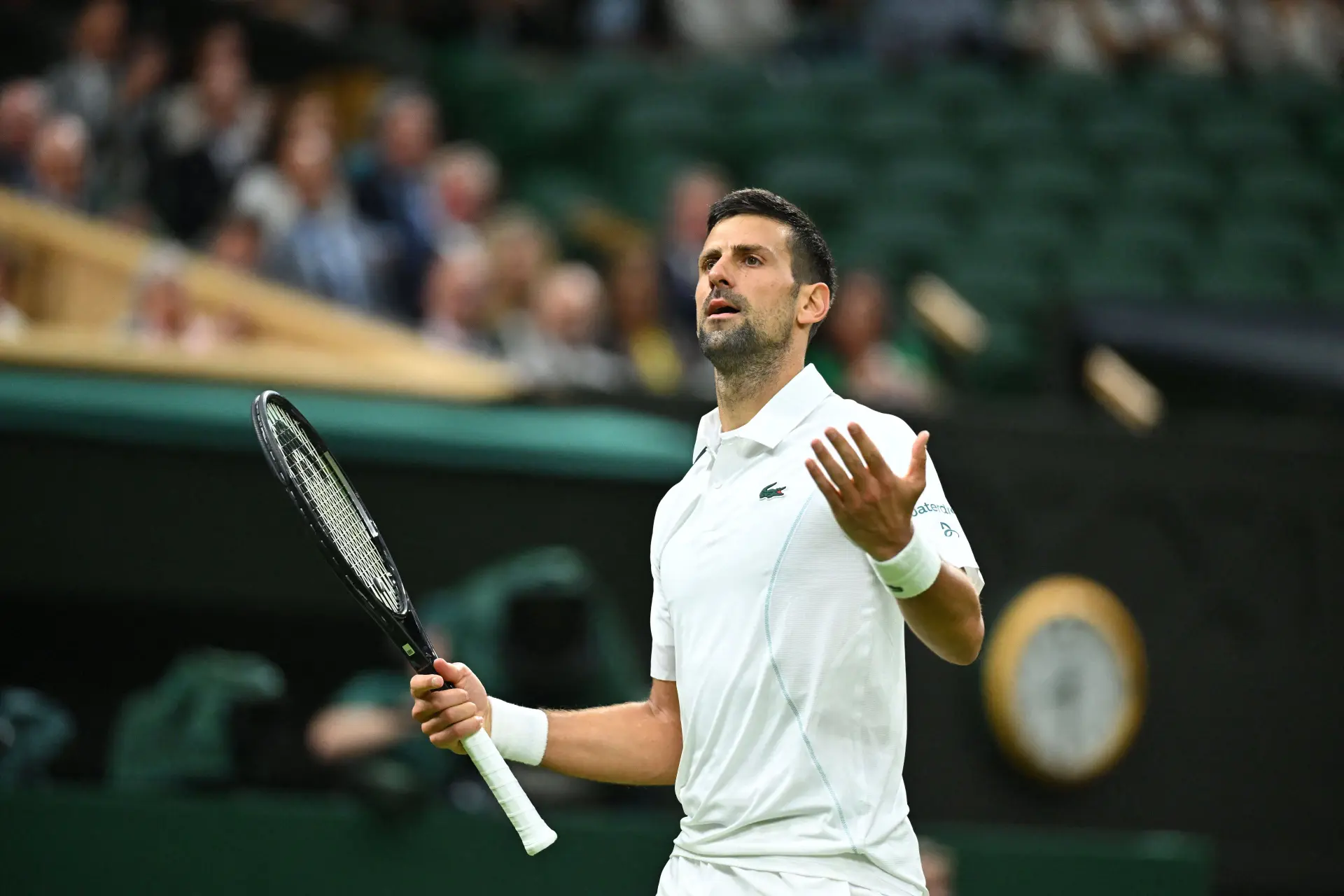 'Special Human Being' Djokovic Might Lose Confidence After Drop In Rankings Says Wilander