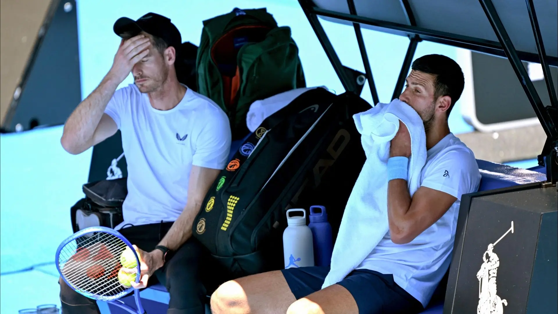Andy Murray Okay With Novak Djokovic Shouting At Him Under One Condition