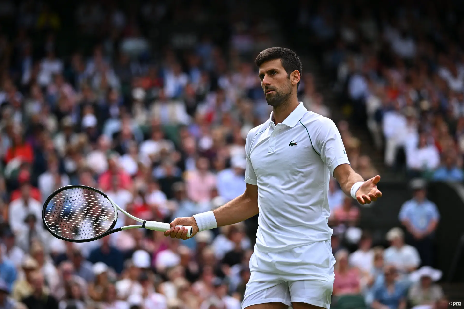 Djokovic eröffnet die Jagd nach seinem achten Wimbledon-Titel mit glatten Satzgewinnen gegen Cachin