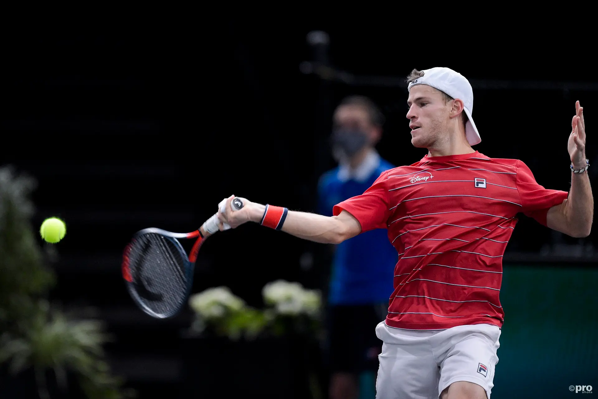 Dosis diaria de redes sociales: Diego Schwartzman emociona al público en el Argentina Open, un gato es la sensación en Qatar