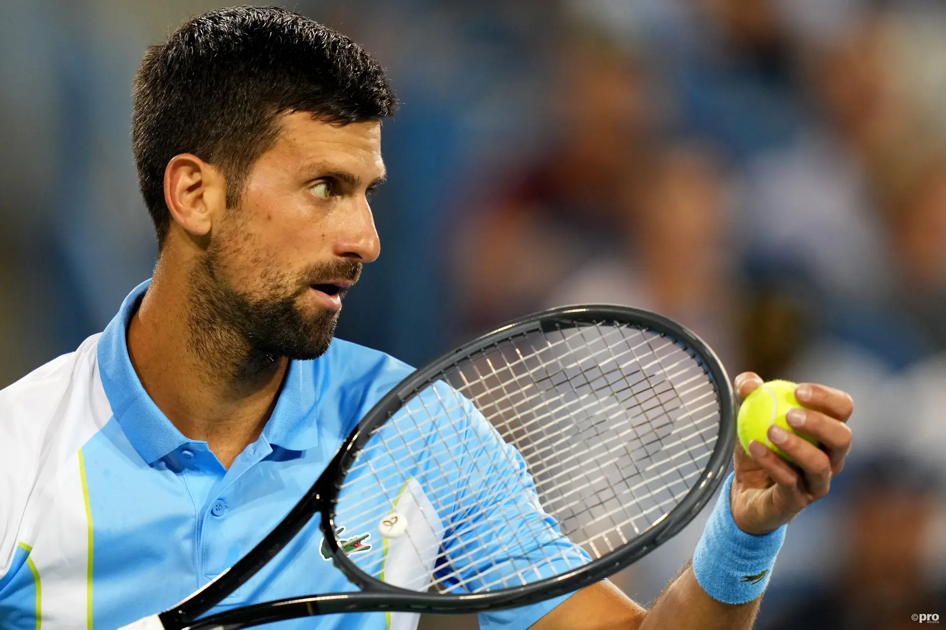 (VÍDEO) Djokovic mostra grande habilidade no golfe com uma tacada de drive na Ryder Cup