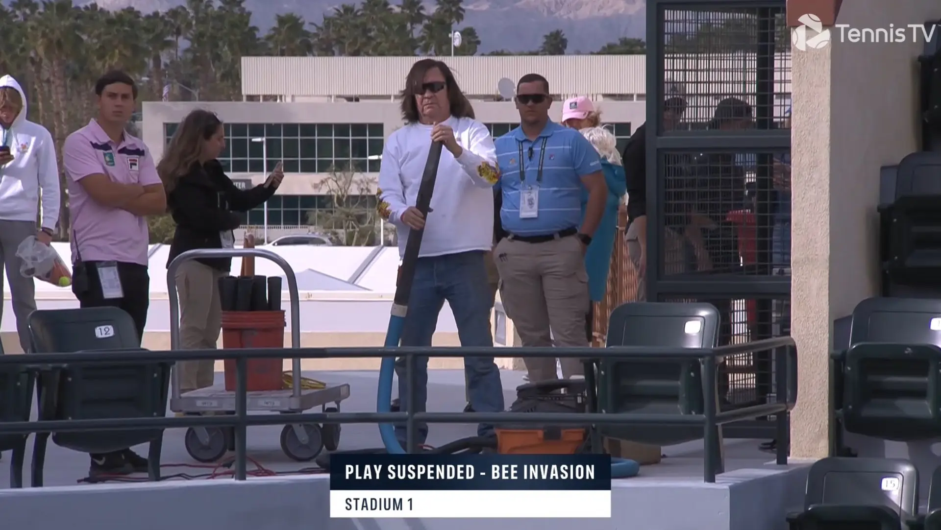 (VIDEO) An American Hero: Indian Wells invasion quelled by beekeeper wearing no protection
