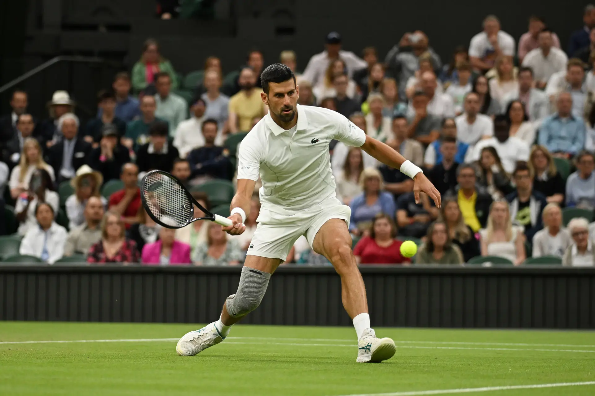 Novak Djokovic ya se entrena para el US Open... sin rodillera