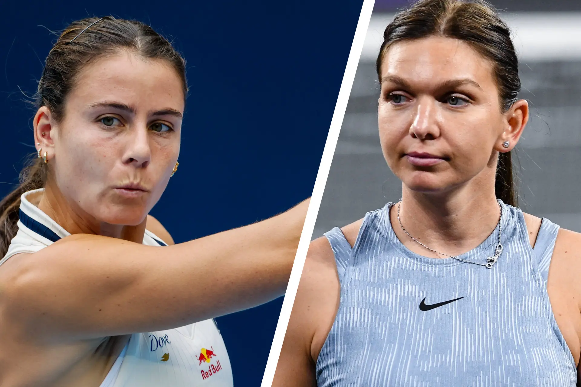 navarrohalep