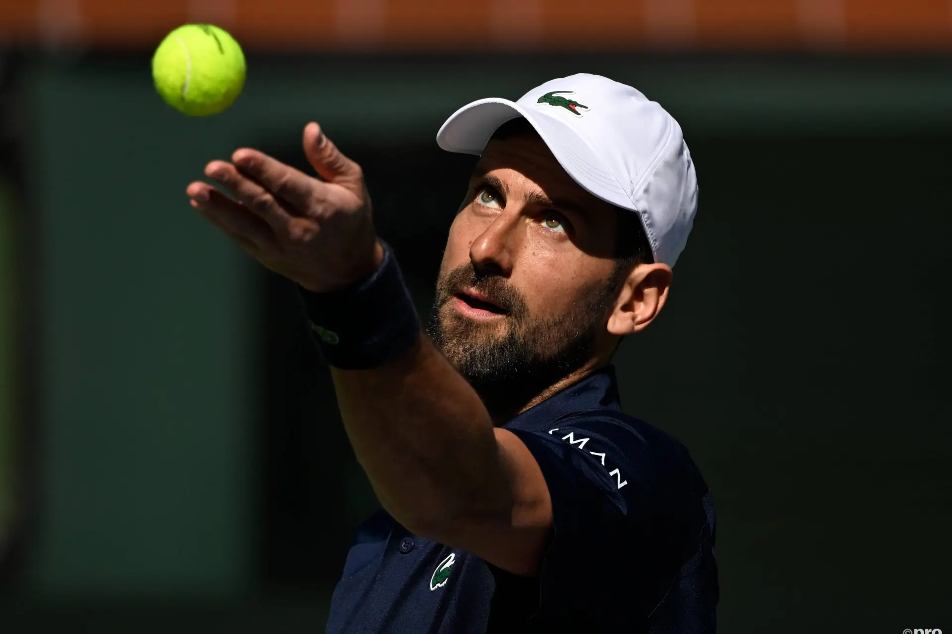Can Novak Djokovic clinch an unprecedented 25th Grand Slam title? "If things go well with the draw — and maybe he catches Jannik Sinner on a really hot day..."