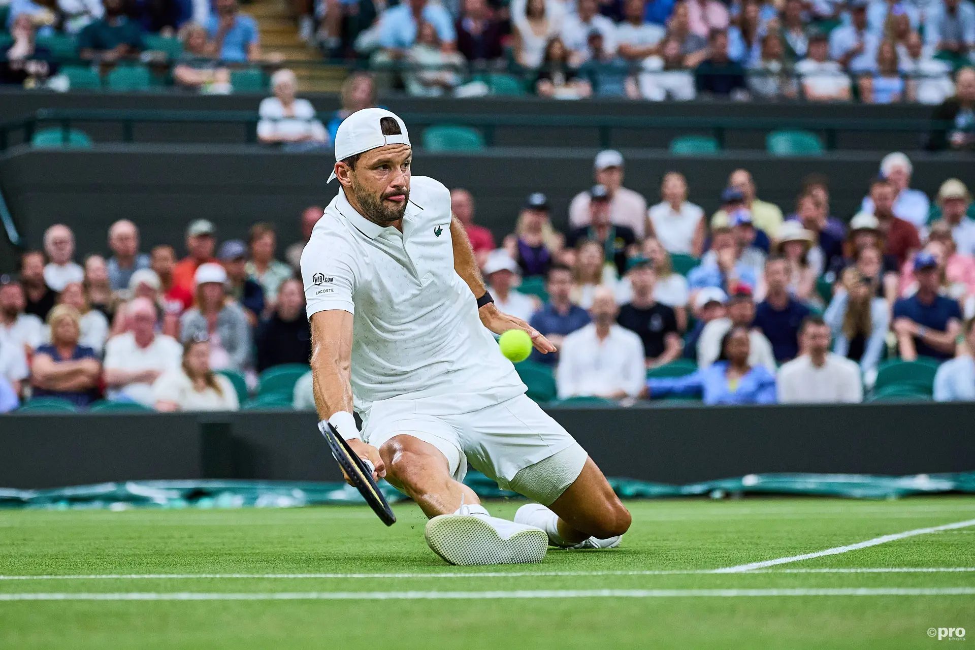 Dimitrov hits ball on the run.