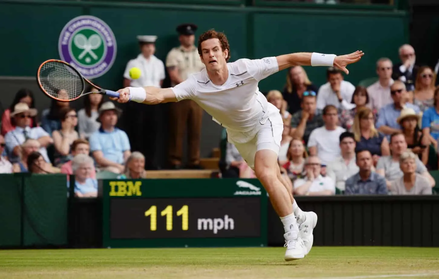 Andy Murray at Wimbledon 2015