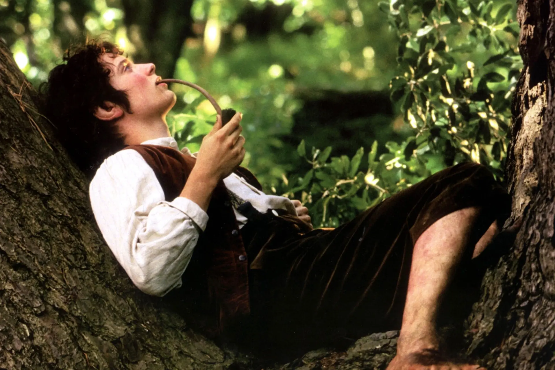 Elijah Wood laat licht schijnen op terugkeer in nieuwe Lord of the Rings-film 'The Hunt for Gollum'