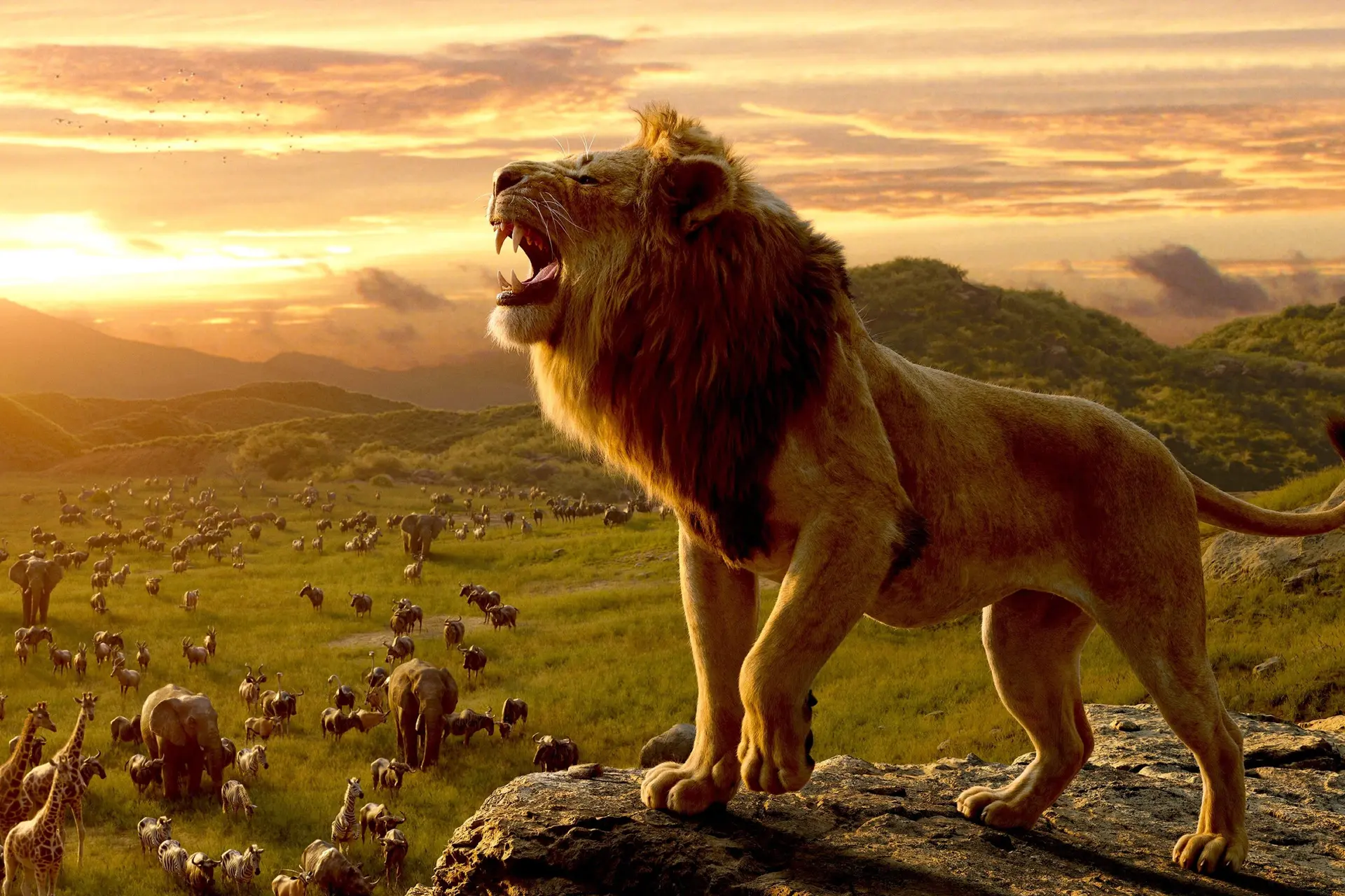 Bioscoopkraker 'Mufasa: The Lion King' vanaf vandaag vanuit huis te zien
