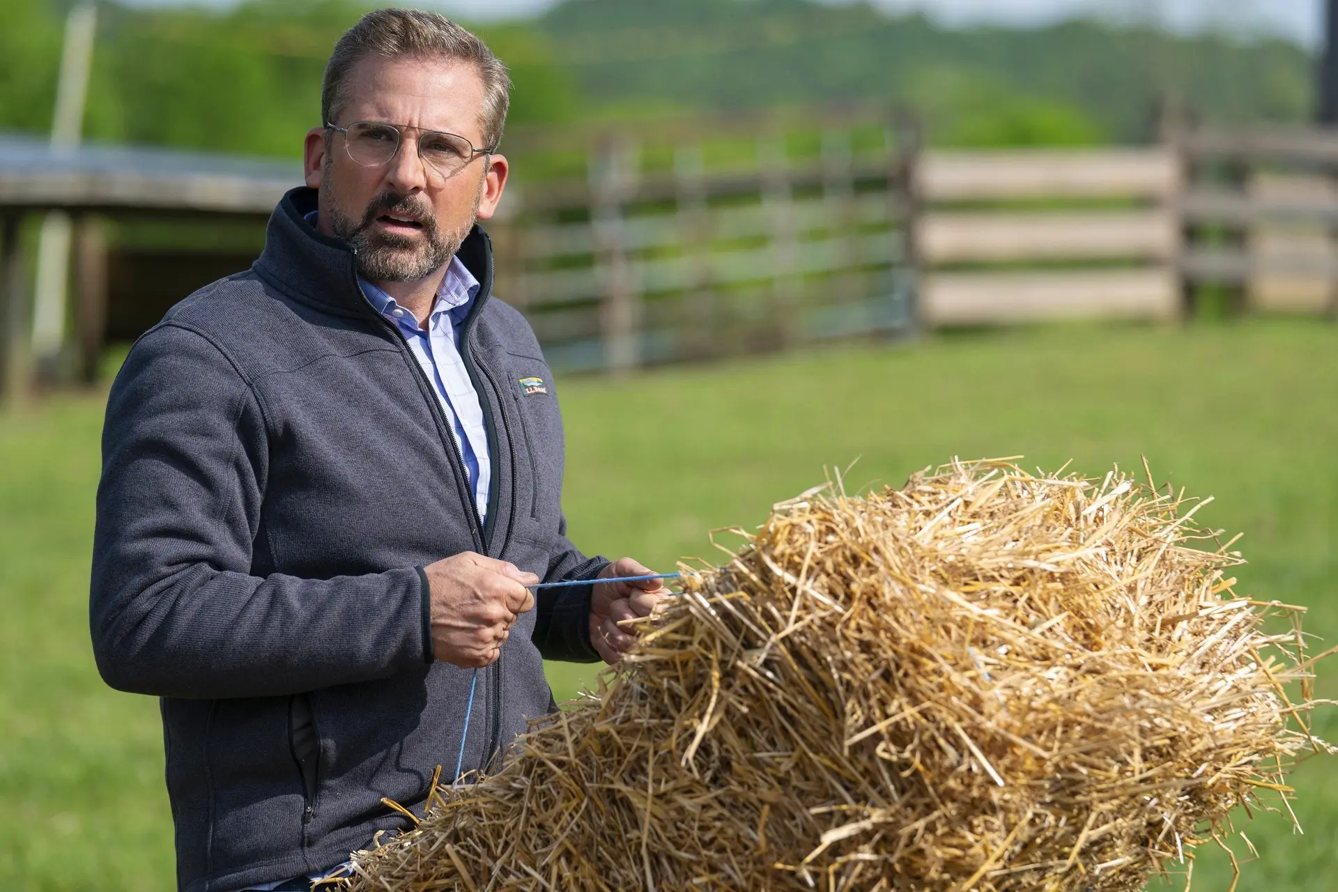 Politieke komediefilm met The Office-ster Steve Carell vanaf vandaag te zien op Netflix