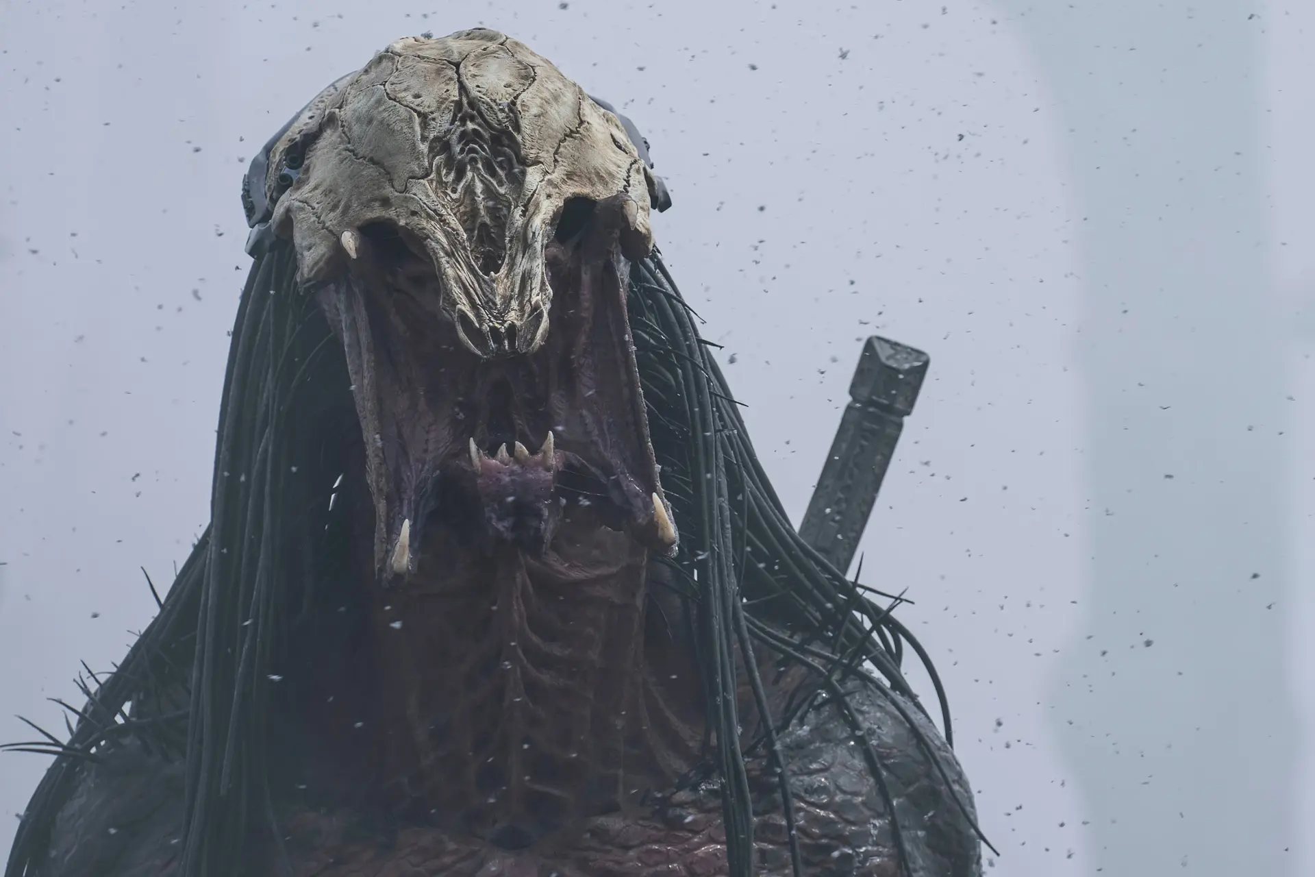 'Prey'-makers werken aan nieuwe Predator-film met de Emmy-genomineerde actrice Elle Fanning