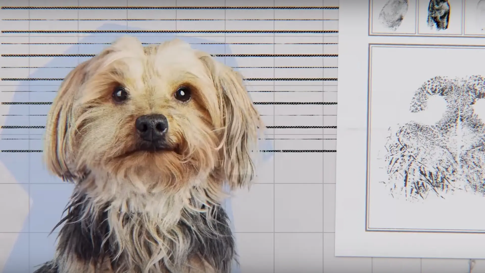 Nieuwe Netflix-docu 'Inside the Mind of a Dog' geeft inzicht in het leven van honden