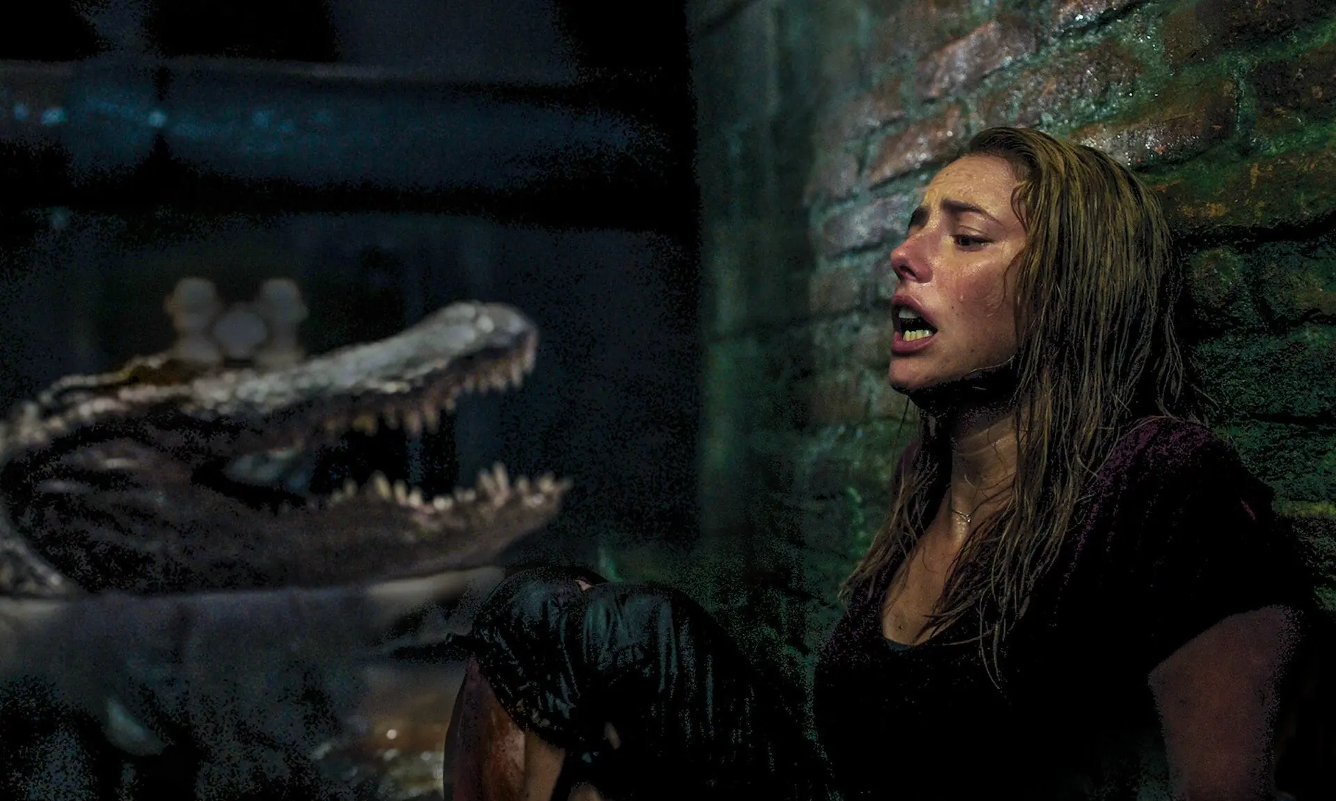 Onverwachte horrorhit uit 2019 krijgt officieel een vervolg met Sam Raimi als producent