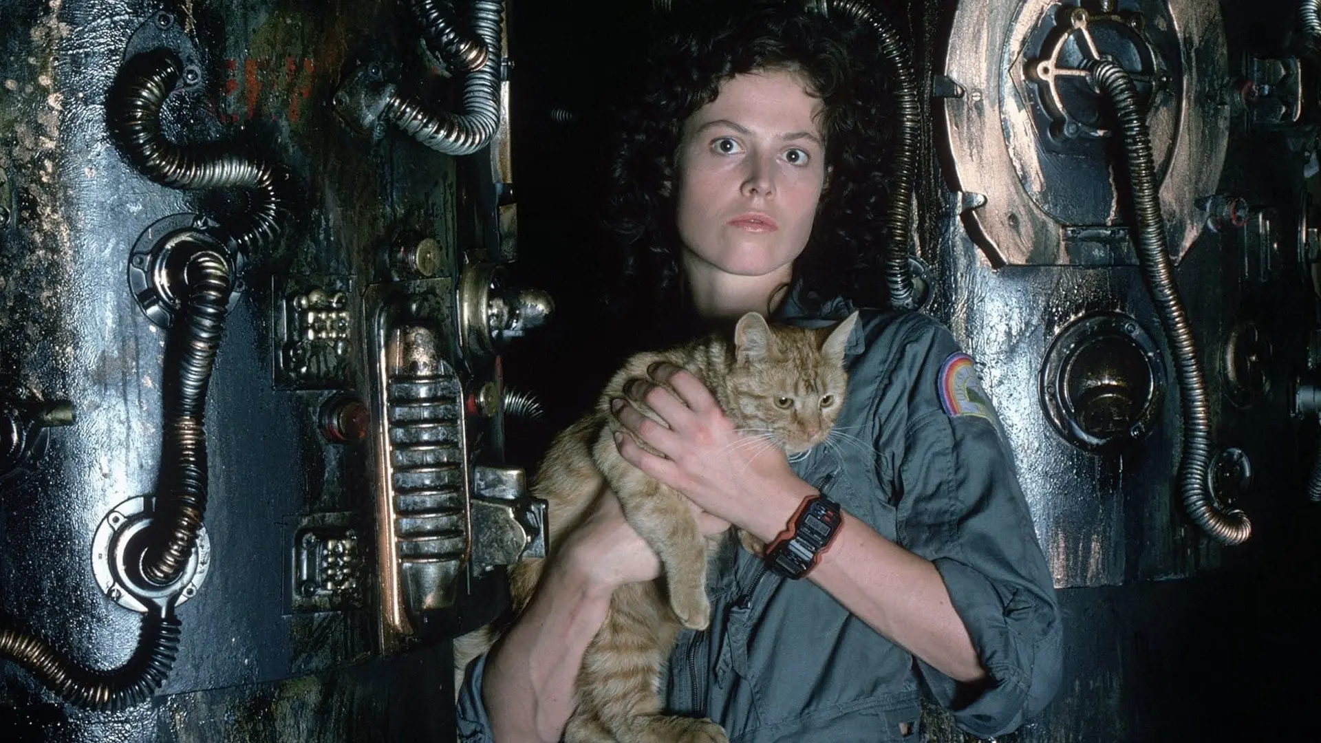 Sigourney Weaver heeft een rol te pakken in de nieuwe Star Wars-film 'The Mandalorian & Grogu'