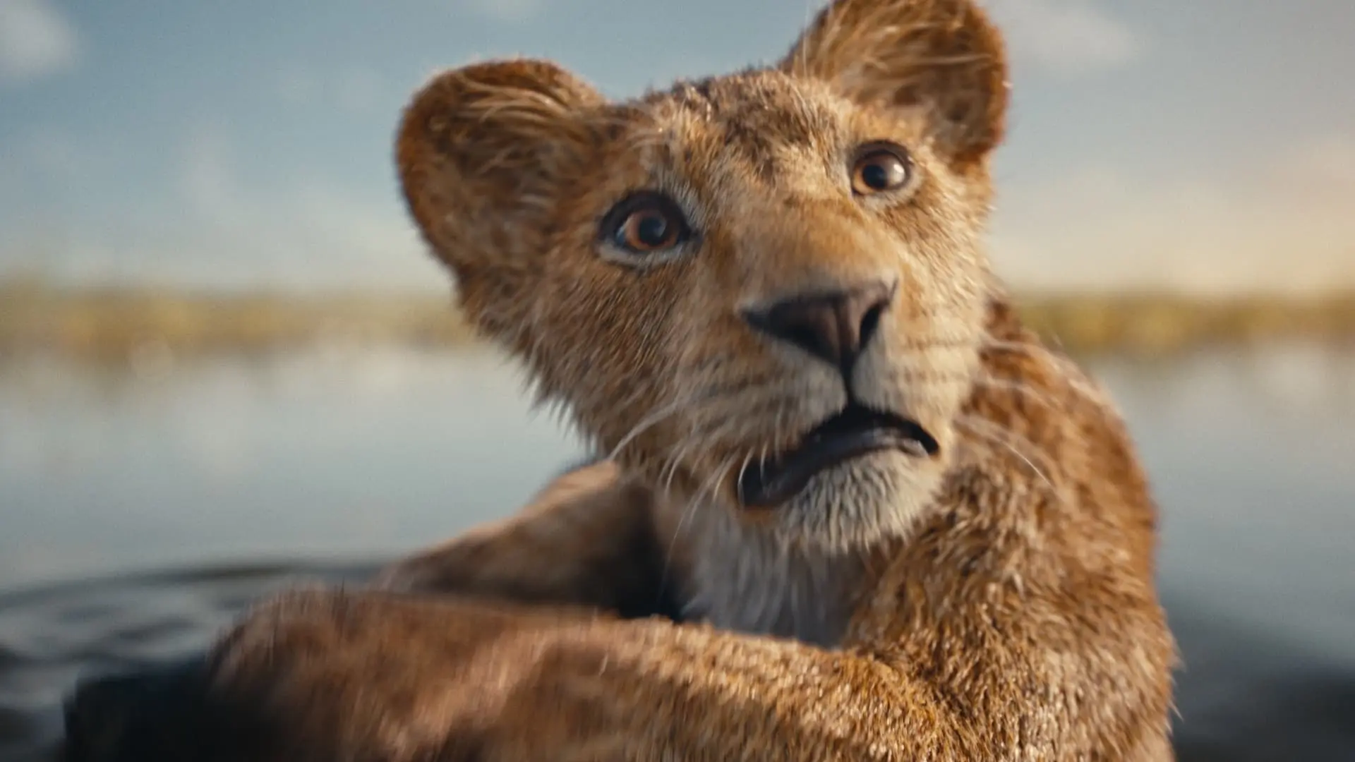 Nieuwe trailer van Lion King-film 'Mufasa' duikt in oorsprongsverhaal van Simba's vader