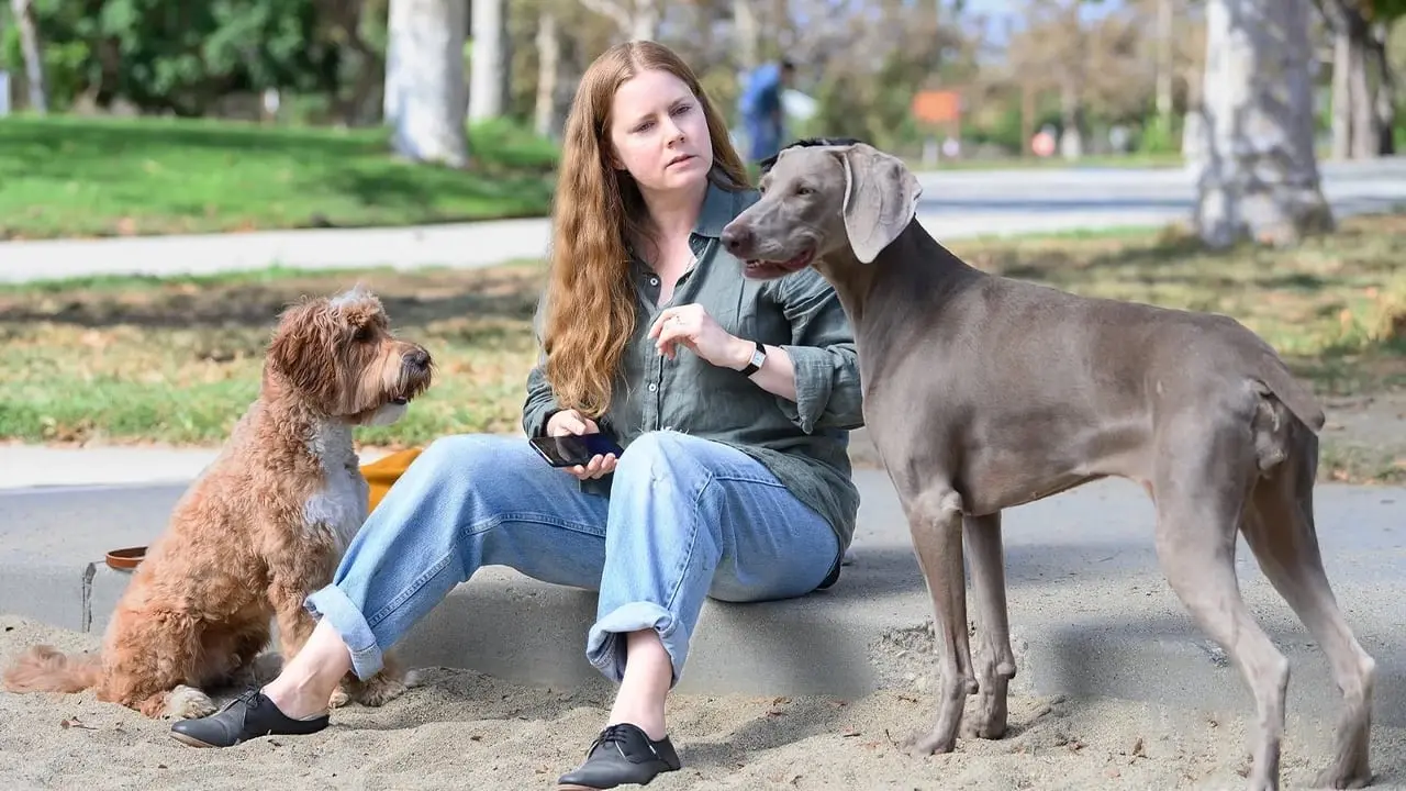 Trailer onthuld van nieuwe horror-comedy met Amy Adams die denkt te veranderen in een hond