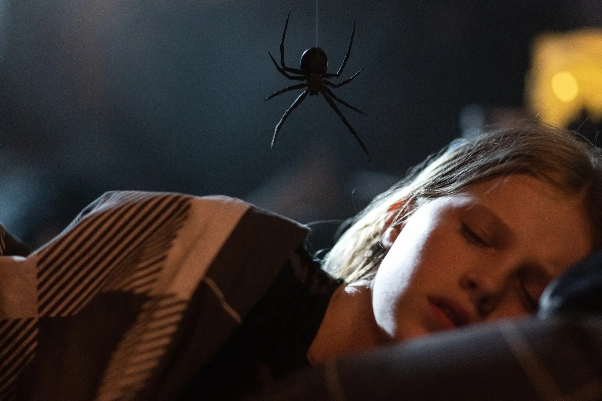 Bioscoopfilm over een bloeddorstige spin maakt vandaag zijn debuut op Netflix
