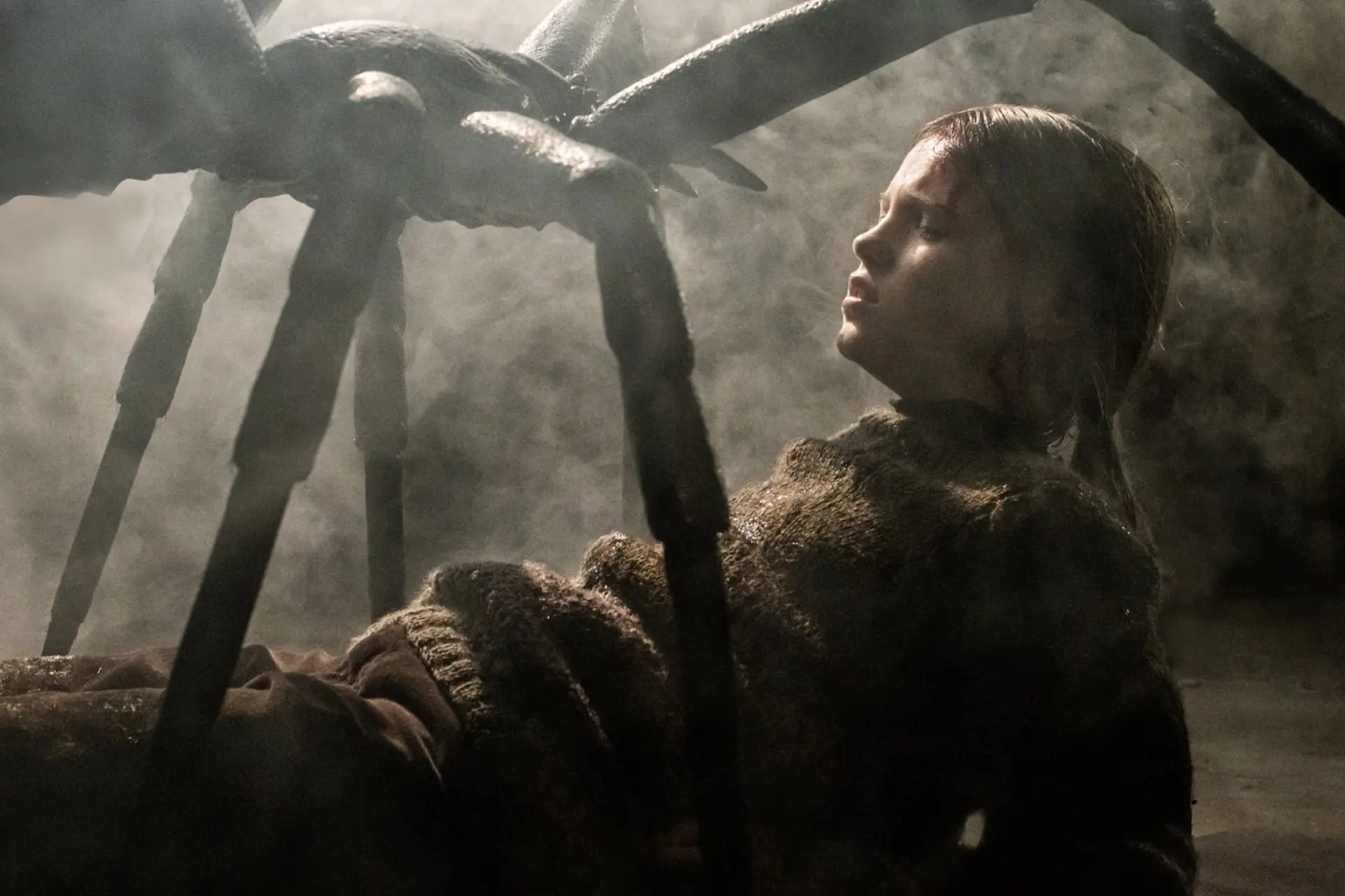 Horrorfilm 'Sting' over een bloeddorstige spin heeft een releasedatum op Netflix