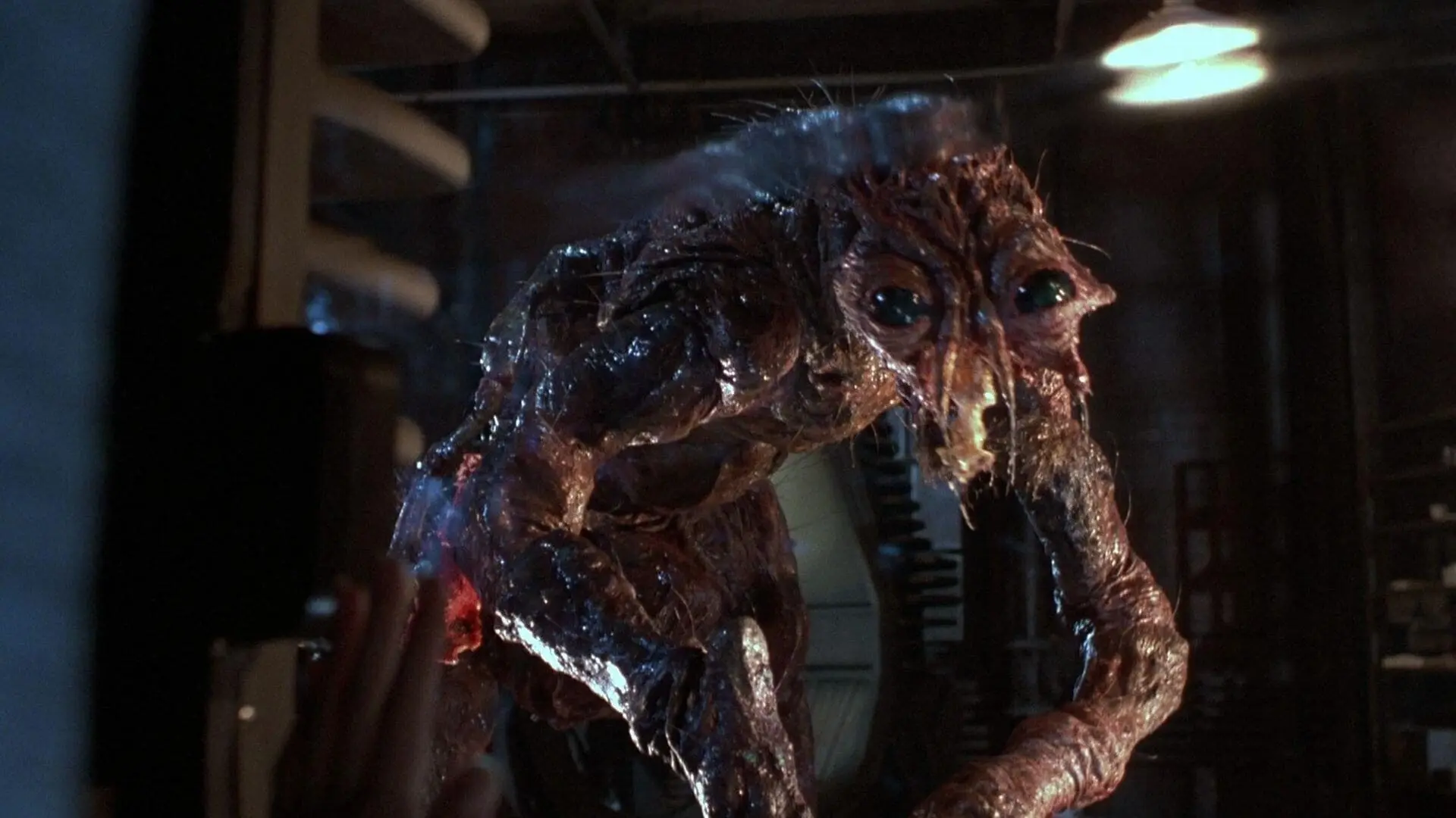 David Cronenberg's horrorfilm 'The Fly' krijgt een nieuwe film van 'Nanny'-maker Nikyatu Jusu