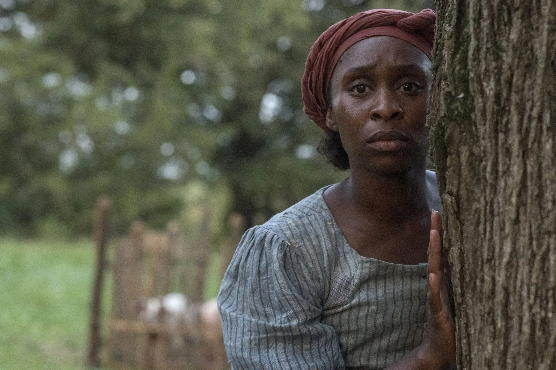 Historische dramafilm met 'Wicked'-ster Cynthia Erivo maakt indruk: "f—ing mooie film!"