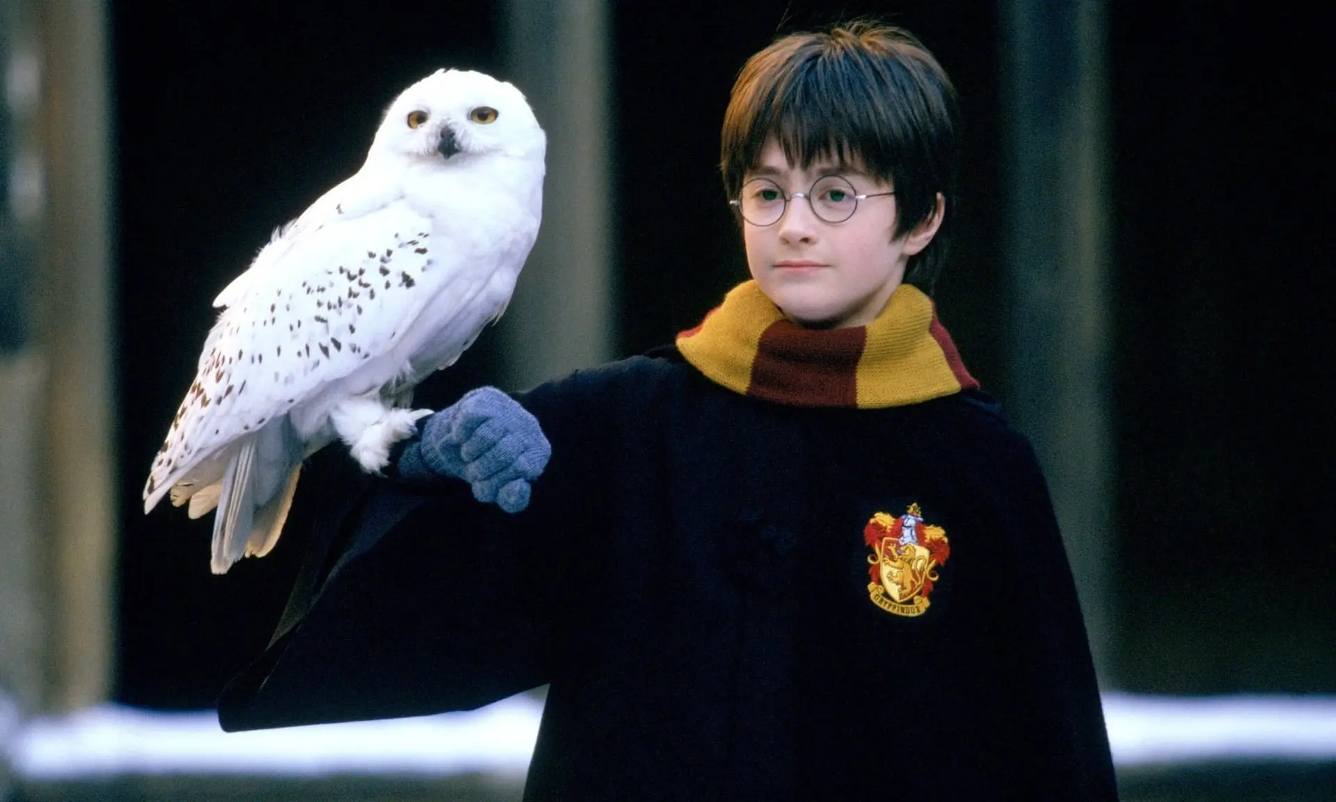 Nieuwe HBO 'Harry Potter'-serie biedt volop ruimte voor een diepgaande verkenning van de boeken