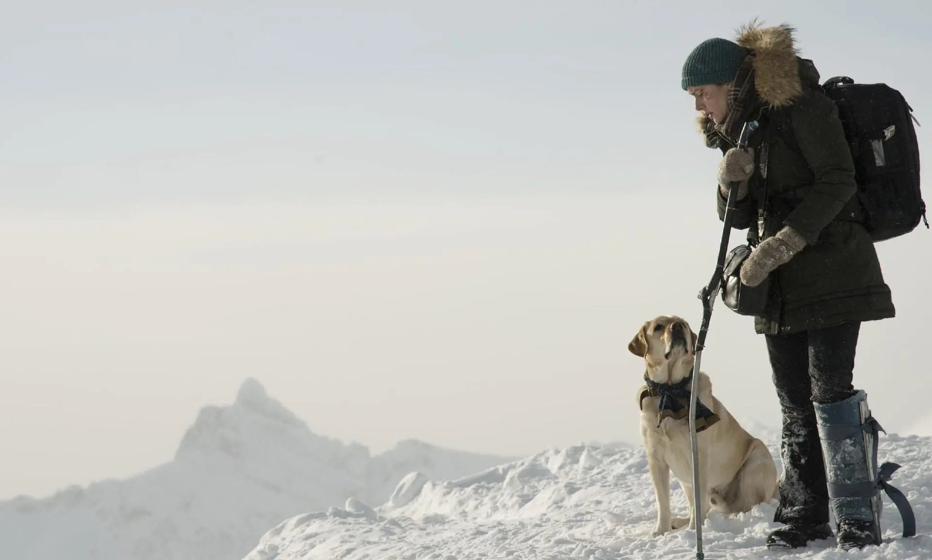 Zenuwslopende dramafilm met Kate Winslet schiet Netflix-top 10 binnen: "écht een mooie film!"