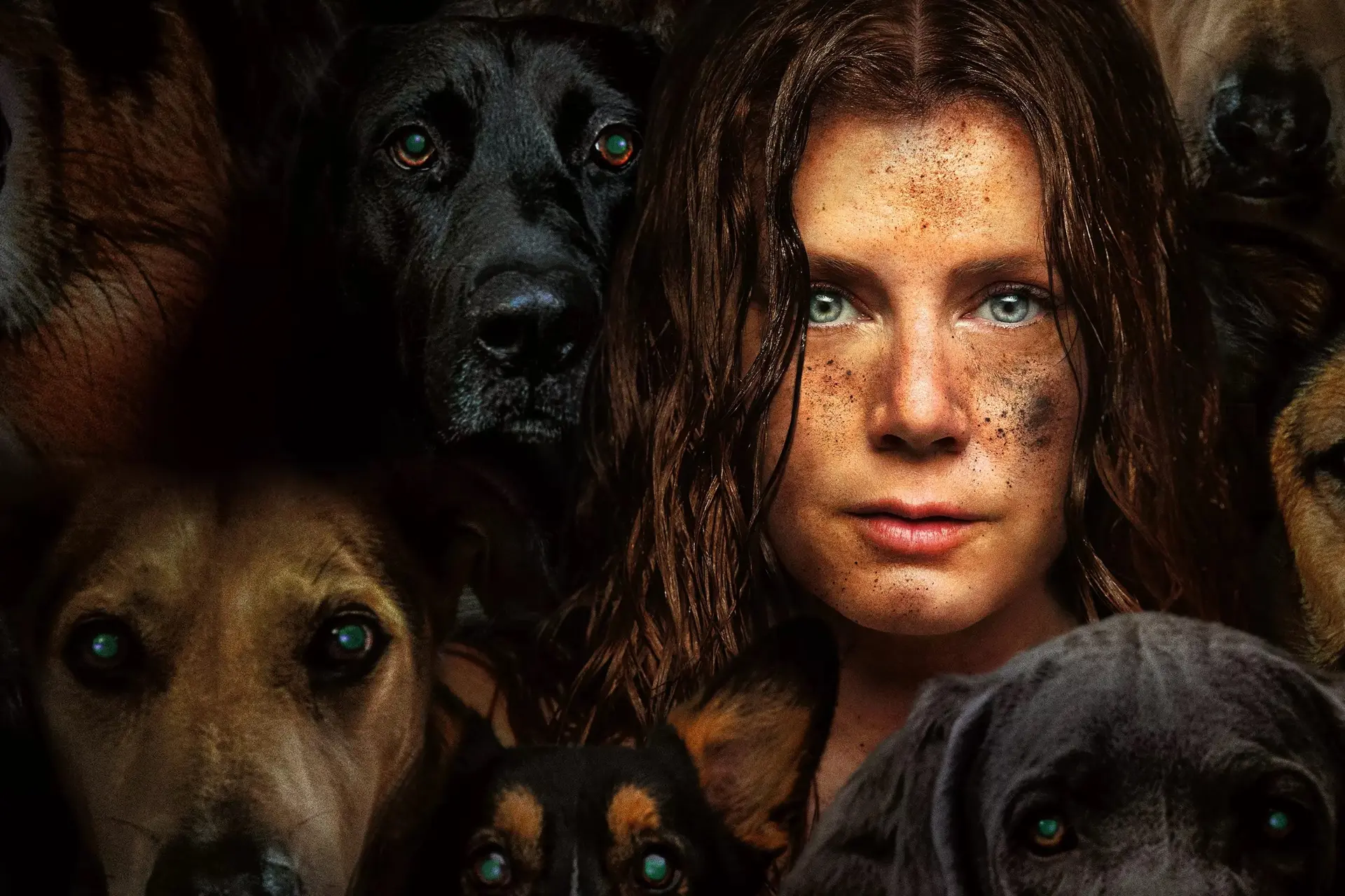 Absurde horror-comedy 'Nightbitch' met Amy Adams vanaf volgende week te zien op Disney+